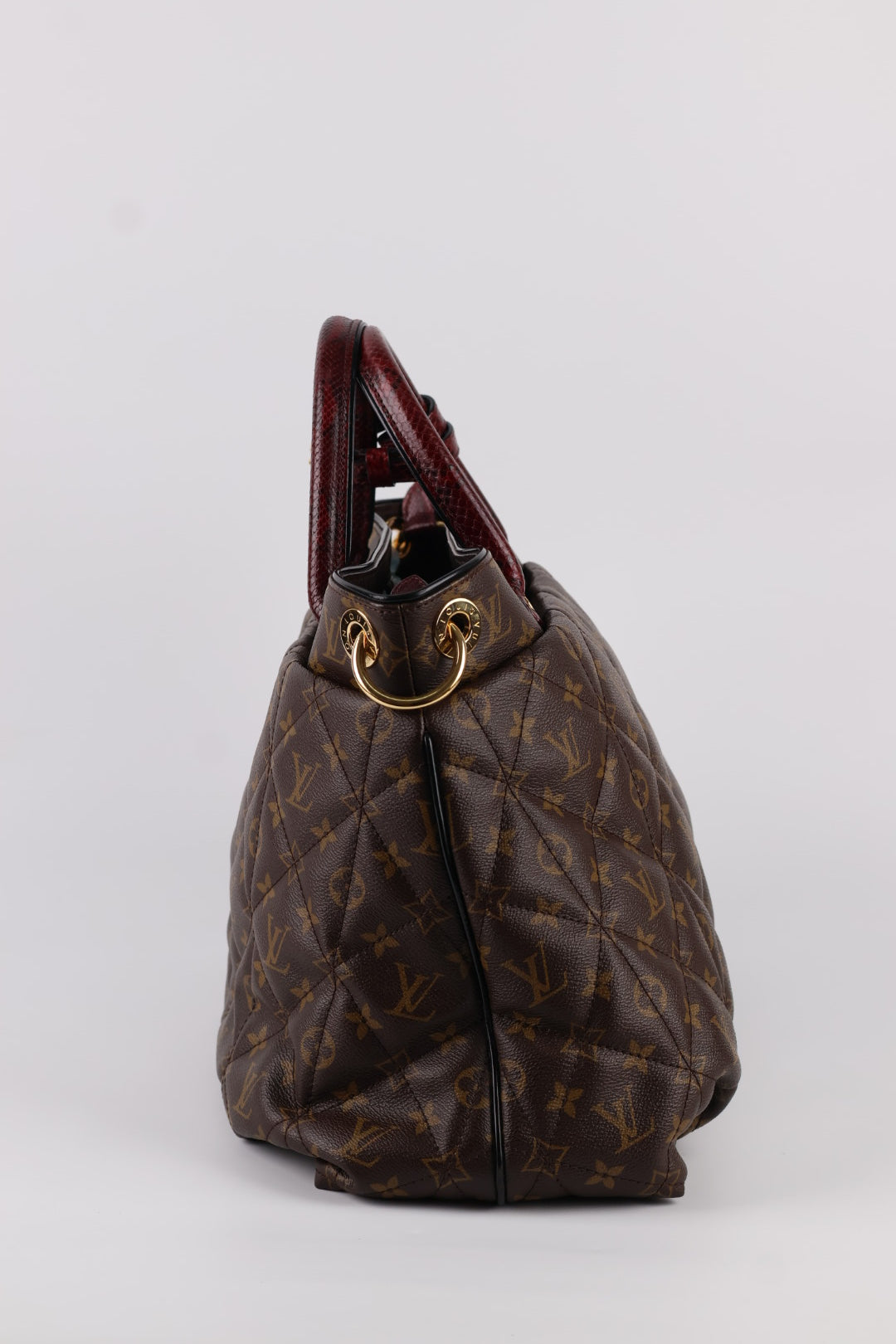 Louis Vuitton Etoile Exotique Monogram