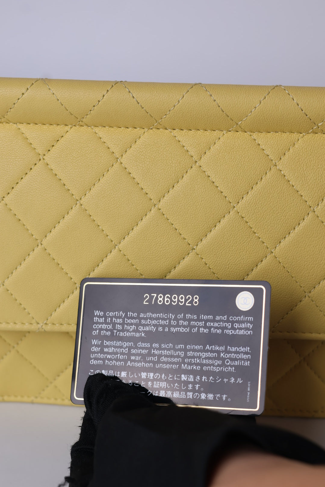 Chanel Classic Flap Pearly