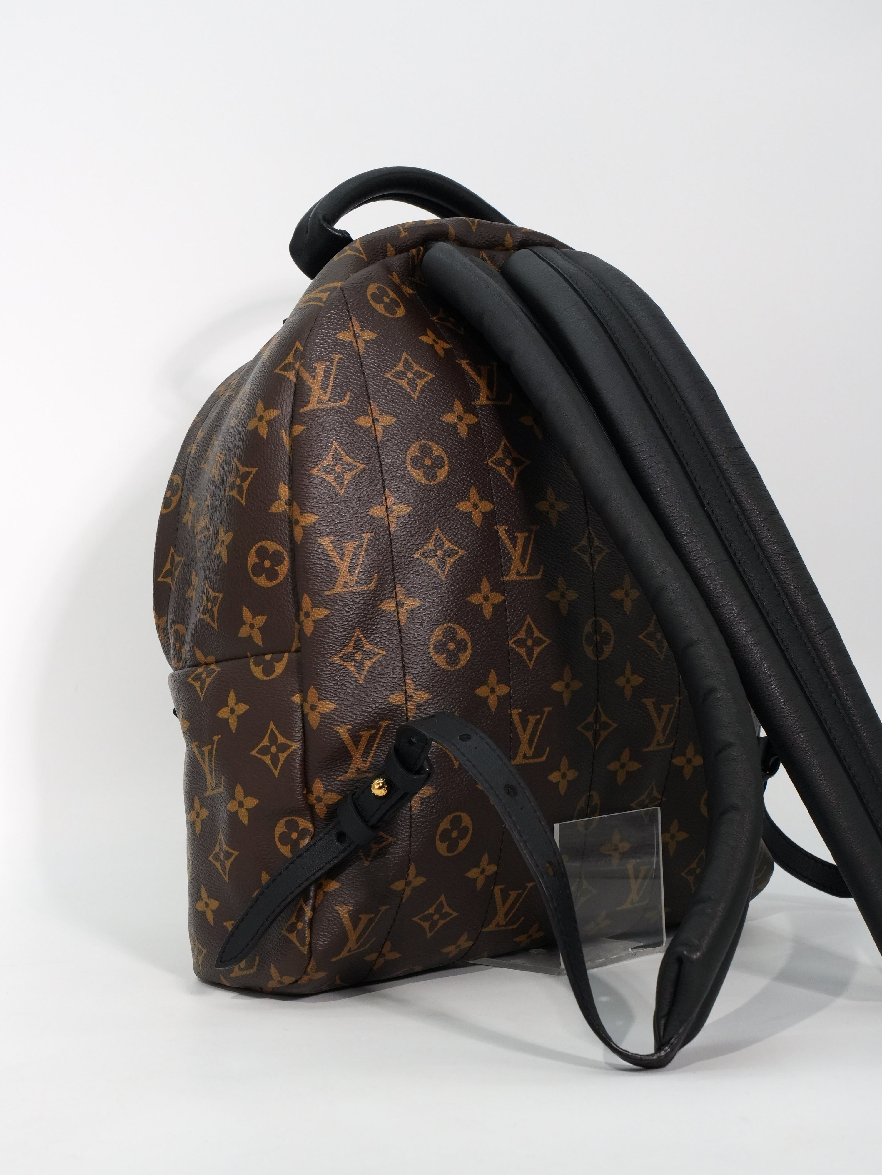 Louis Vuitton Palm Spring MM Monogram