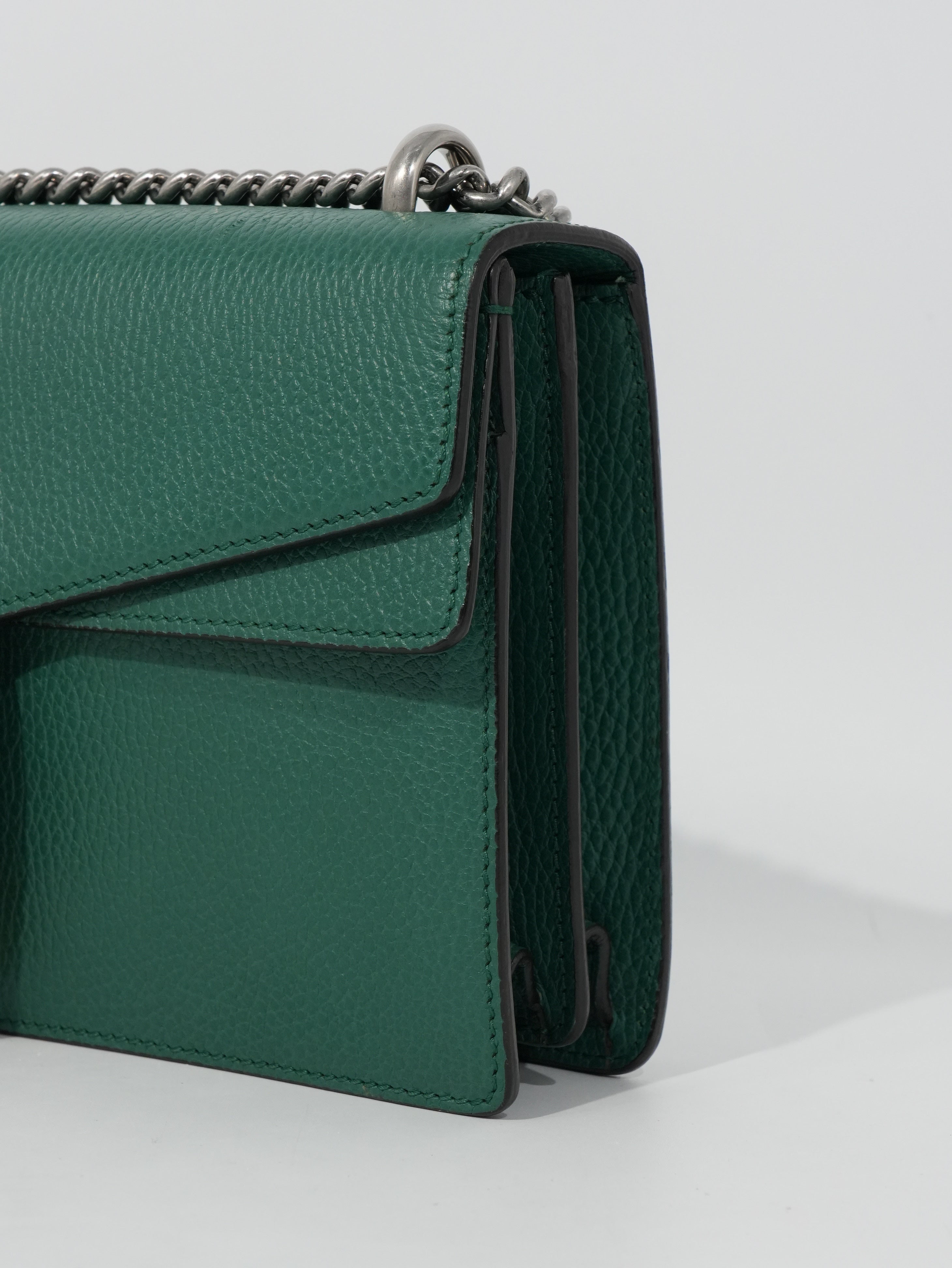 Gucci Dionysus in Pelle