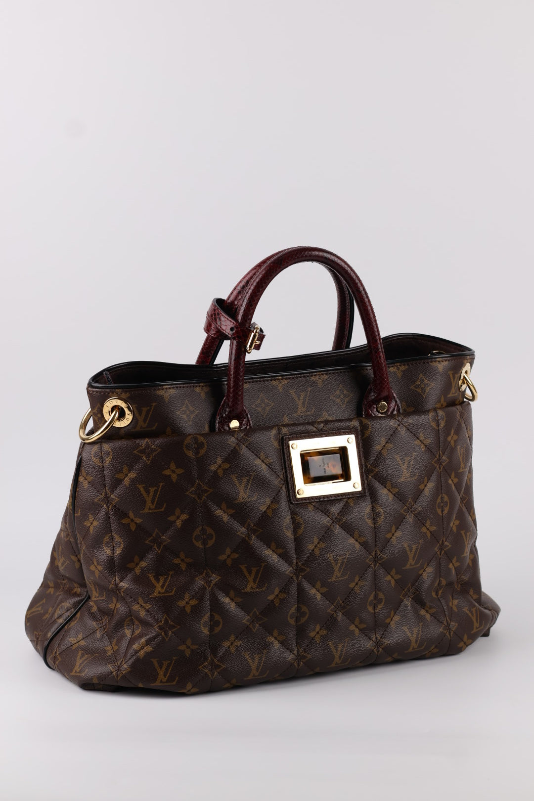 Louis Vuitton Etoile Exotique Monogram