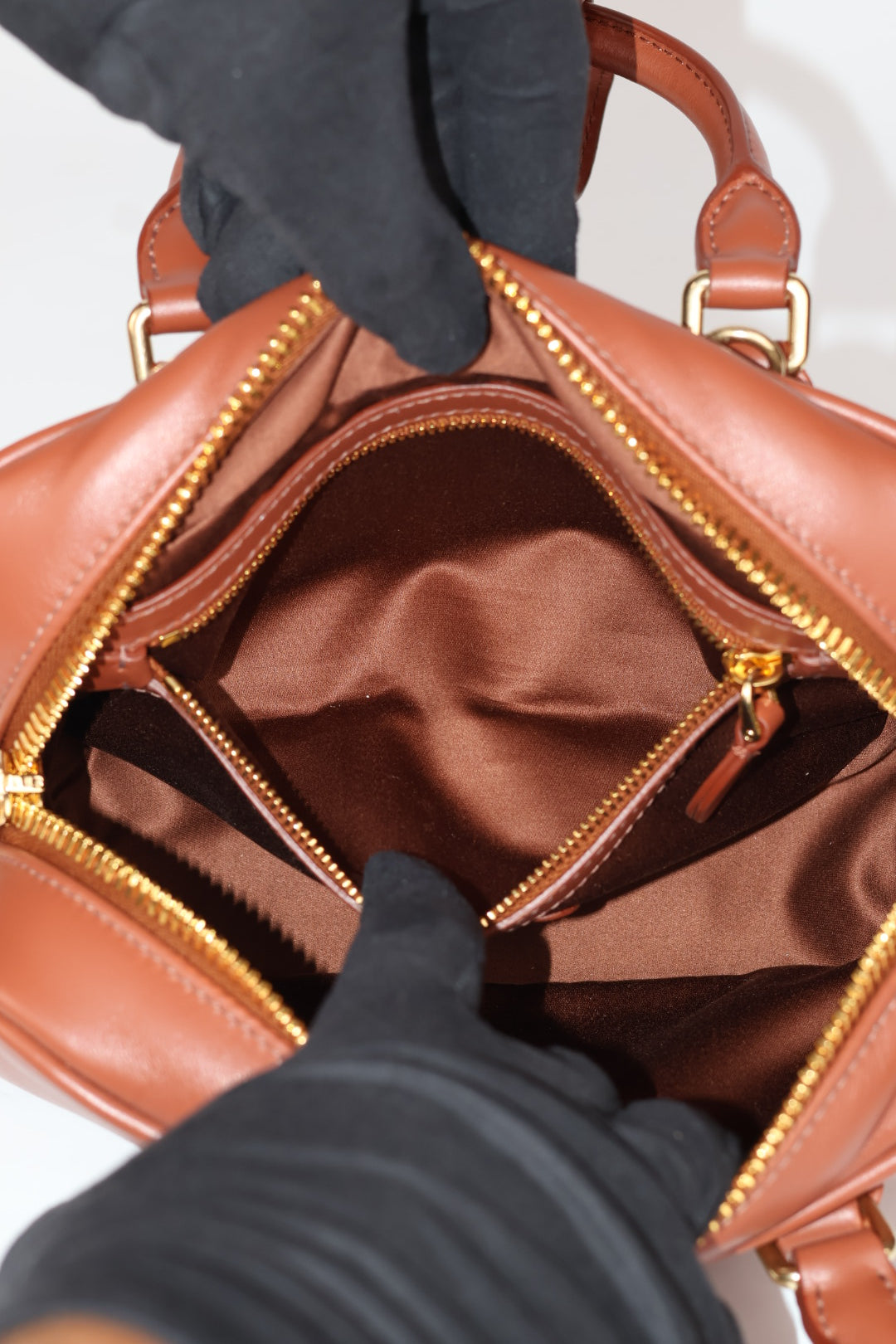 Miu Miu Arcadie Regular