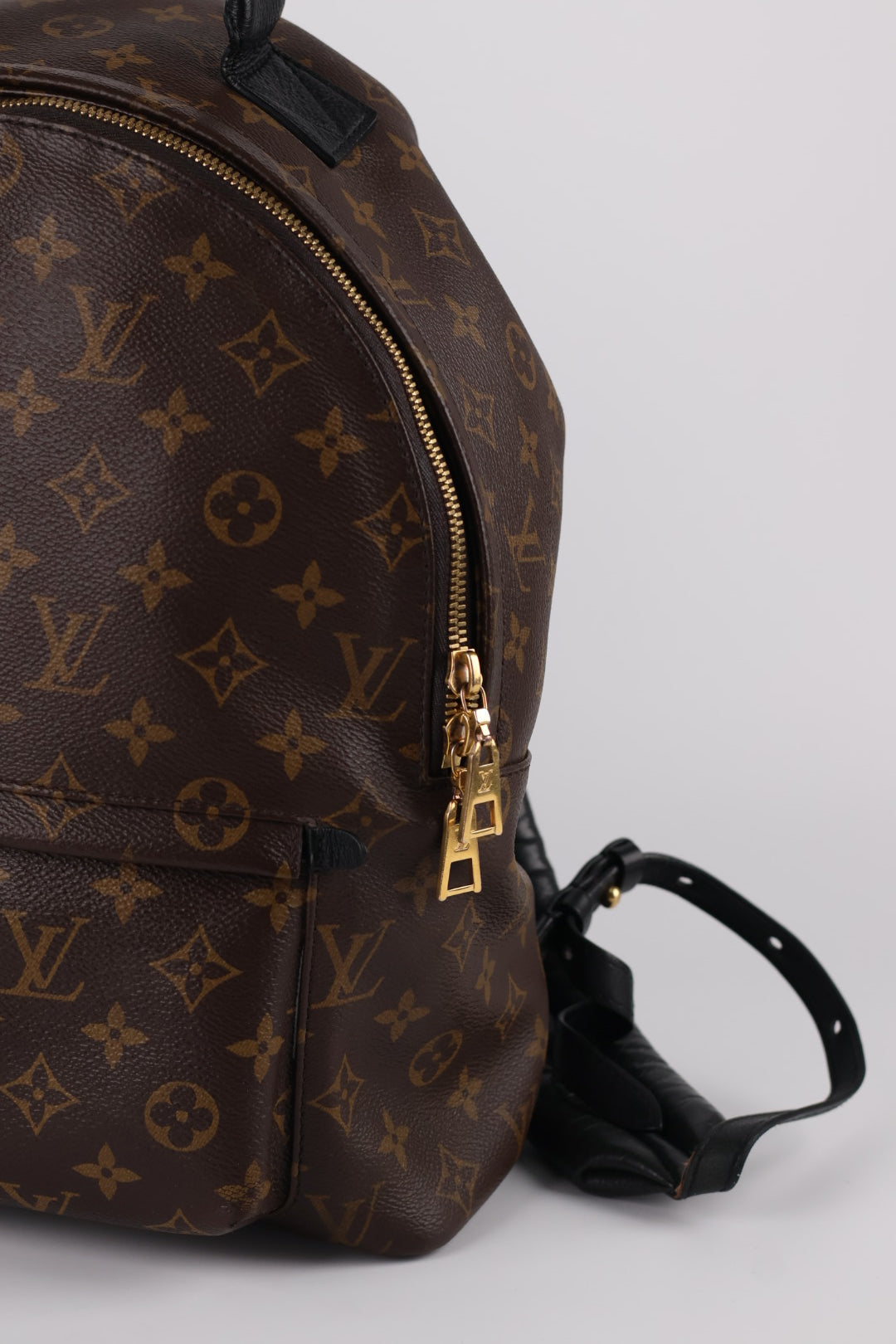 Louis Vuitton Palm Spring MM Monogram