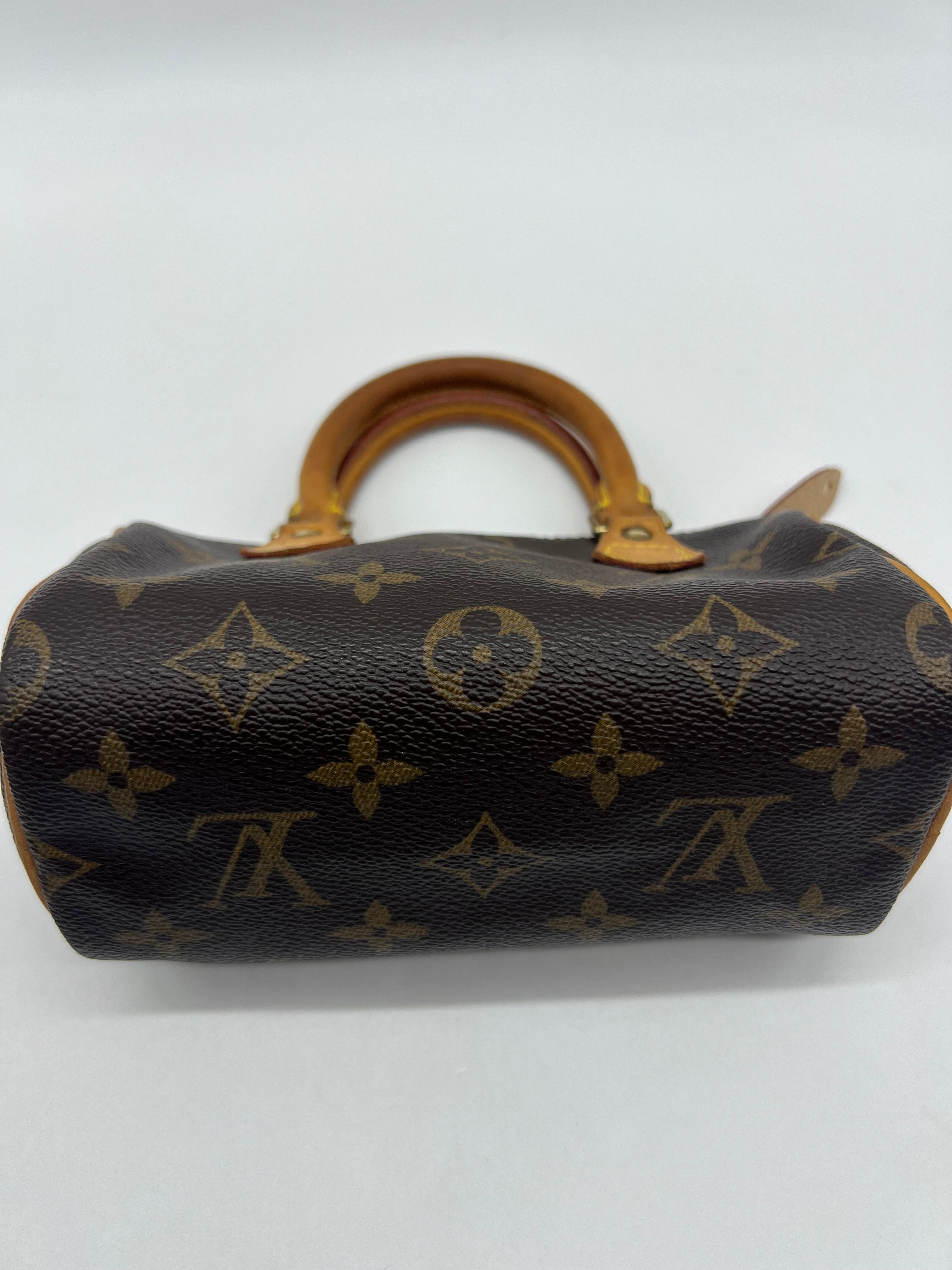 Louis Vuitton Nano Speedy Monogram