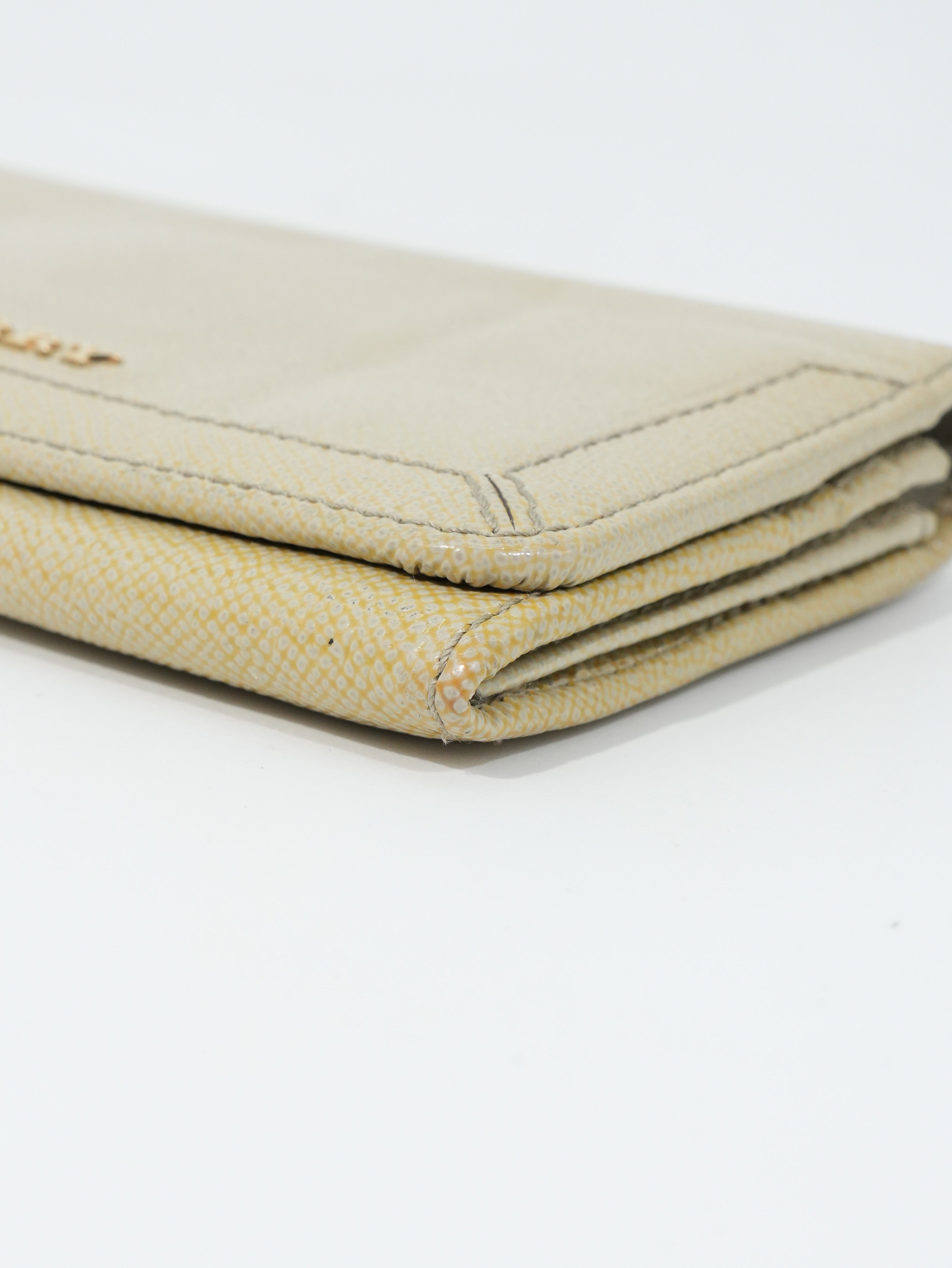 Burberry Portafoglio Lungo