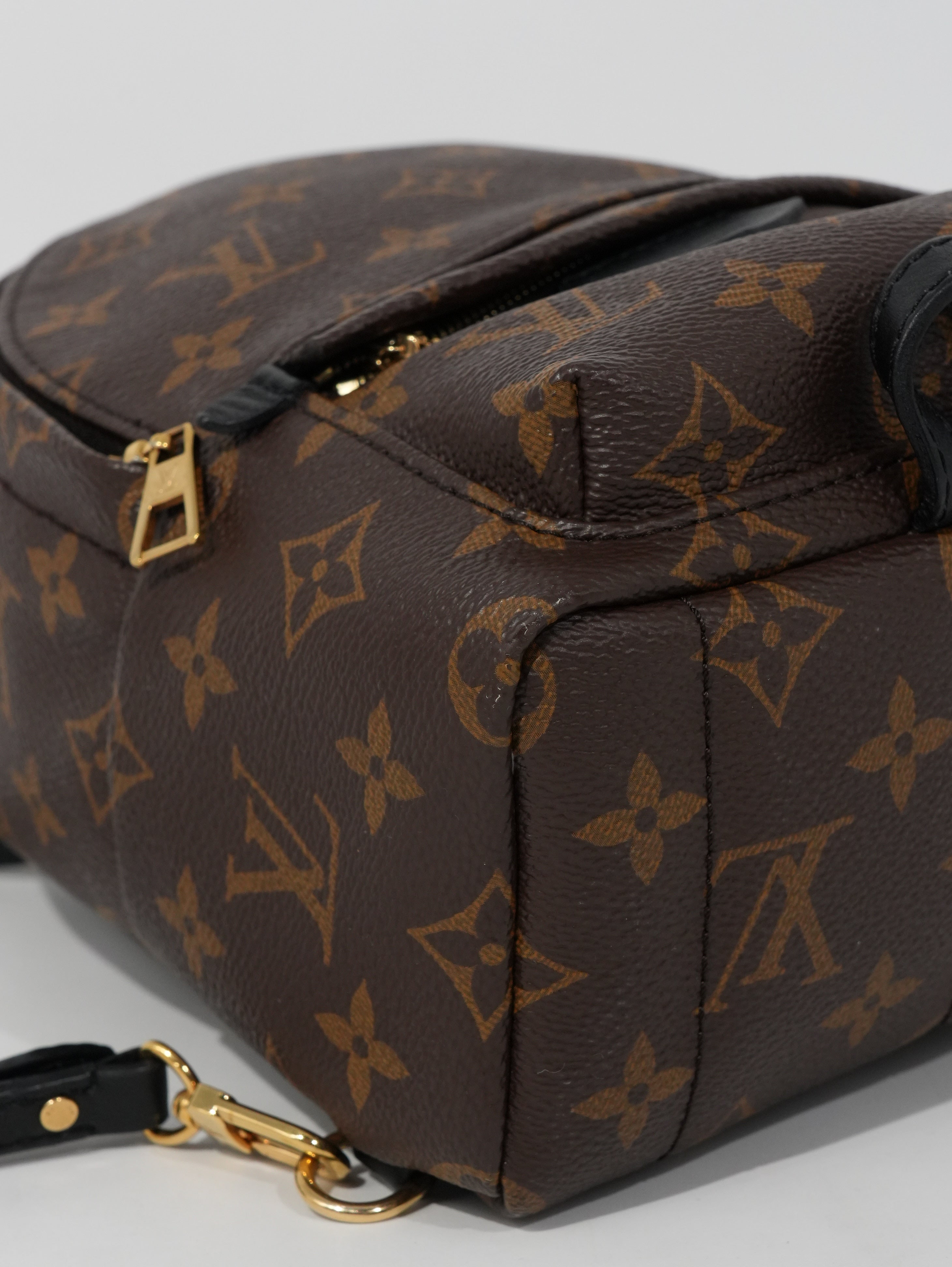 Louis Vuitton Mini Palm Spring