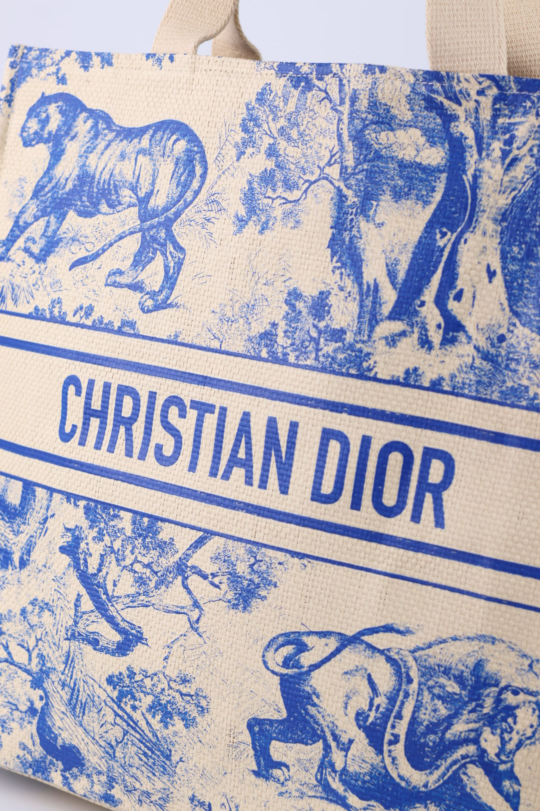 Dior Tote Riviera