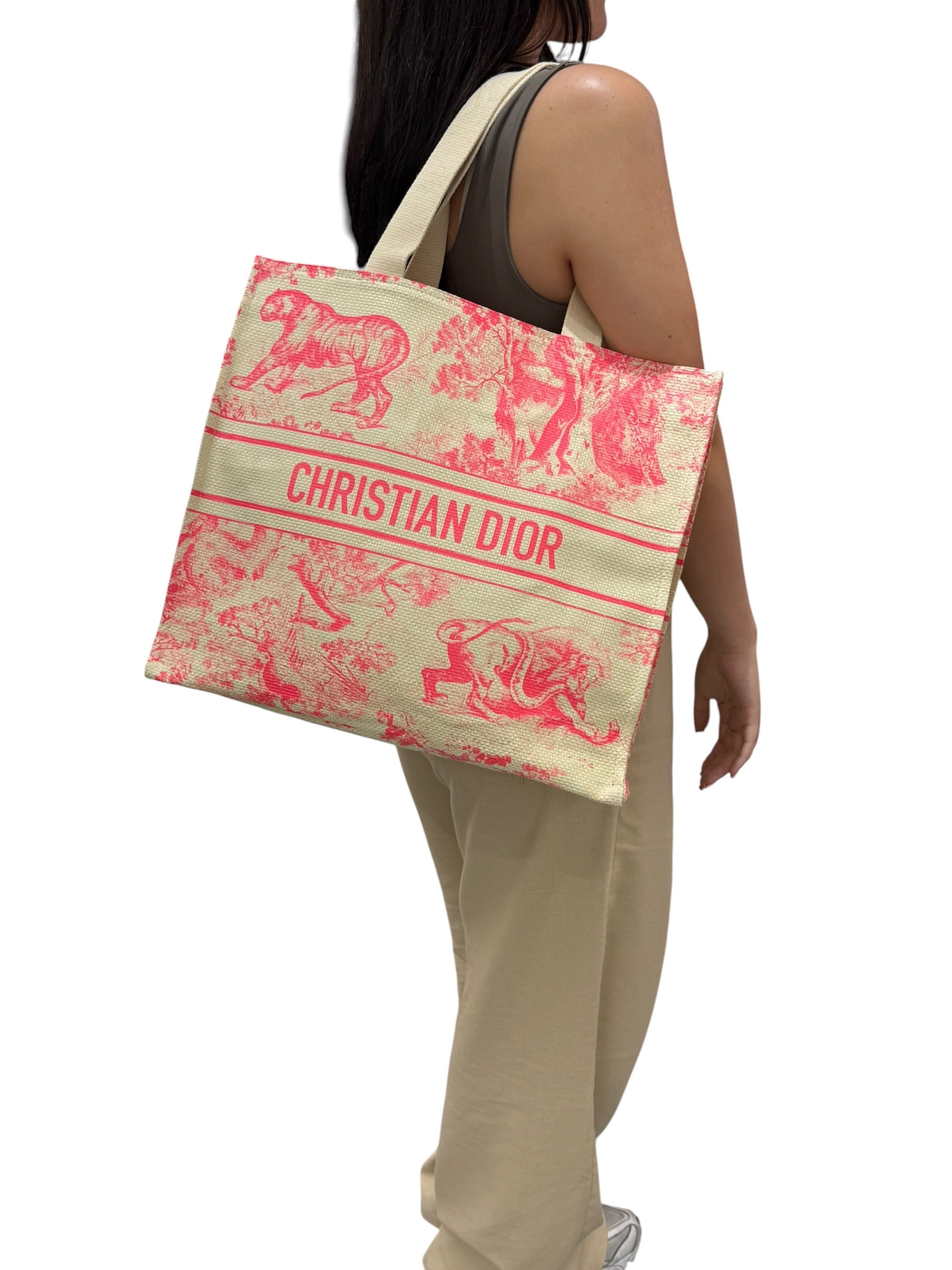 Dior Tote Riviera