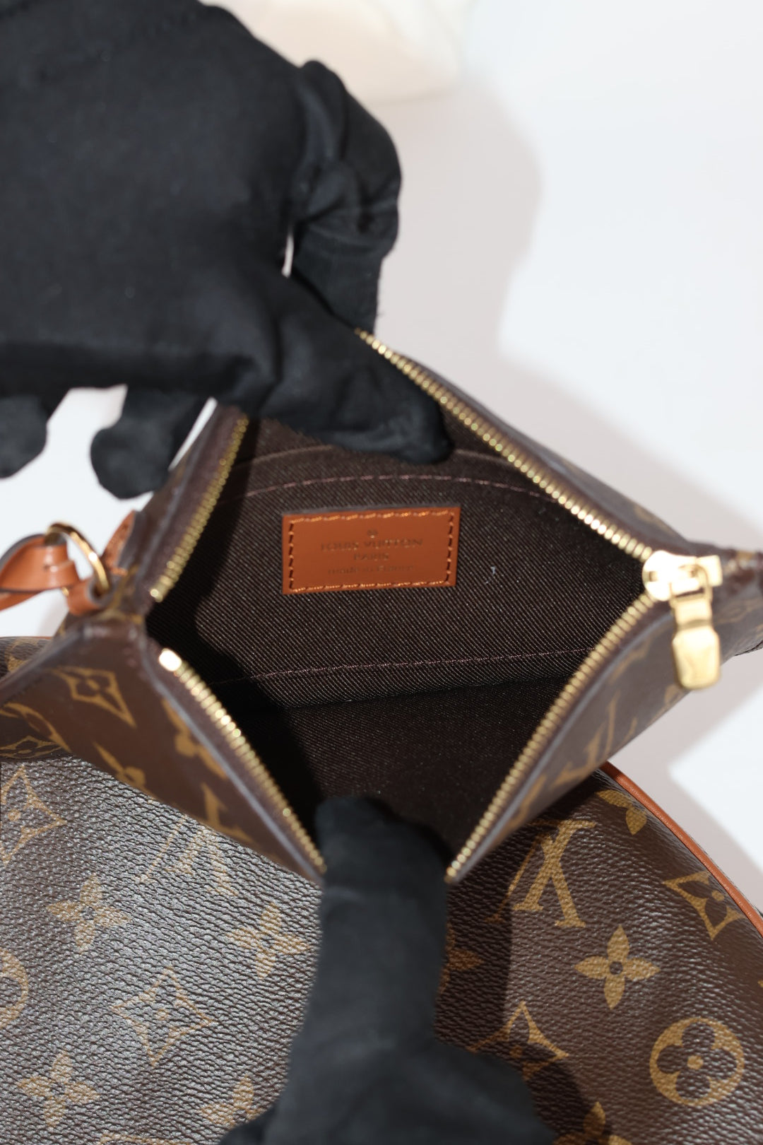 Louis Vuitton Loop Hobo Monogram