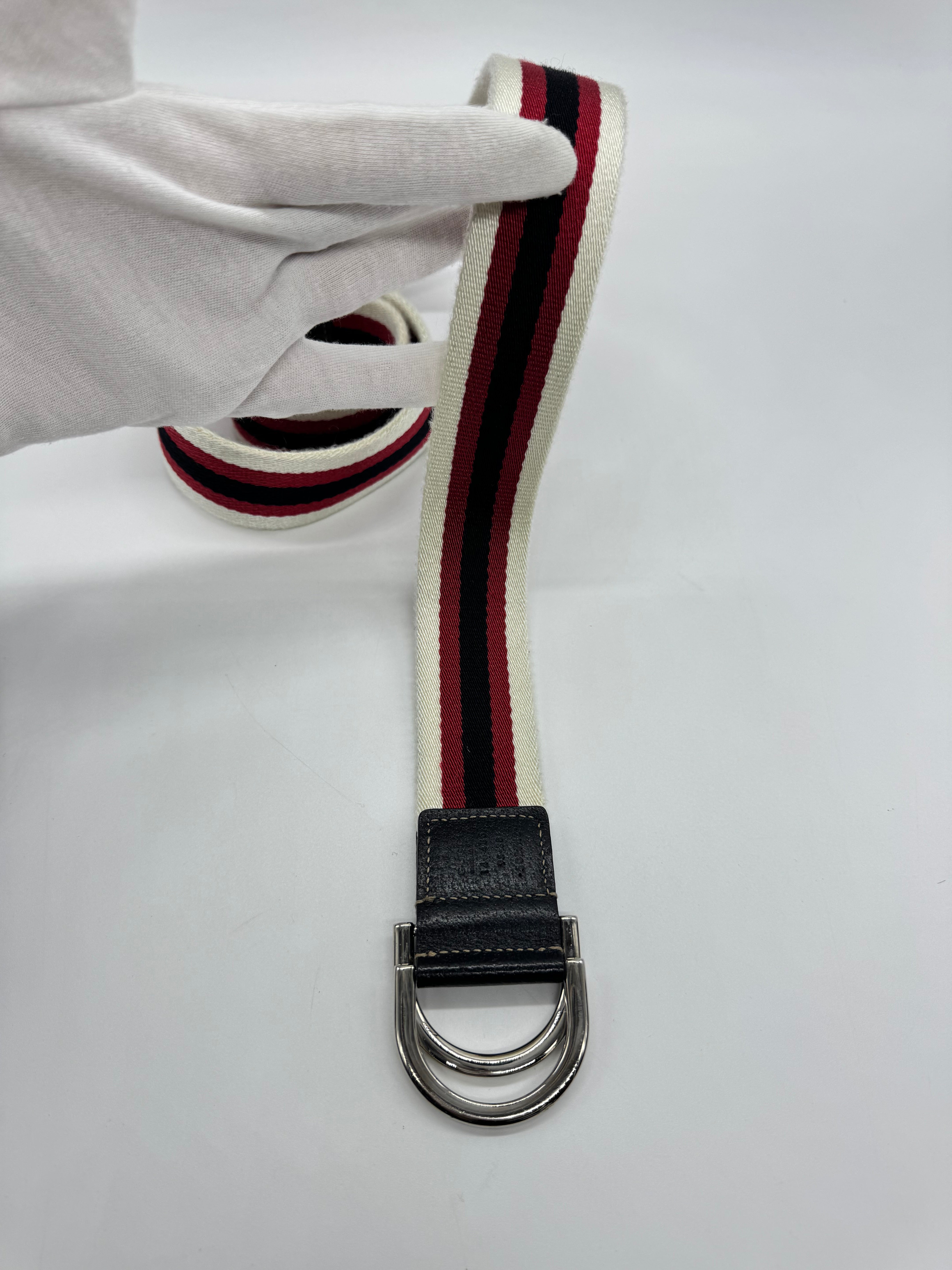 Gucci Cintura Web