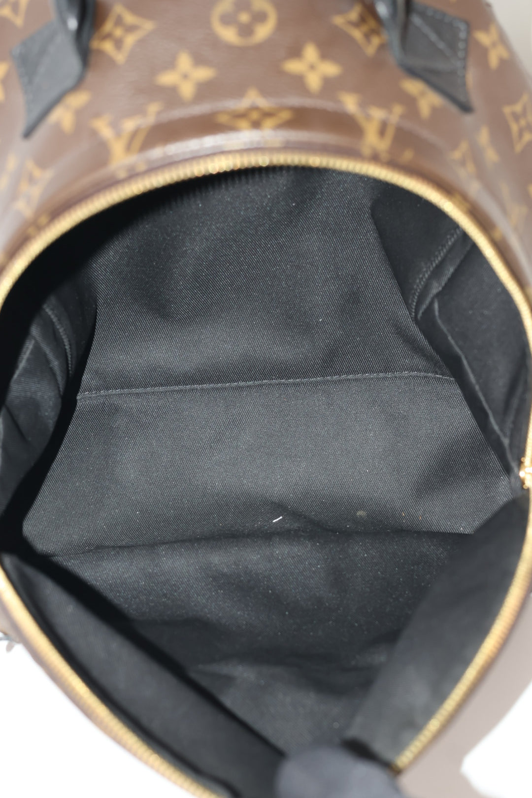 Louis Vuitton Palm Spring MM Monogram