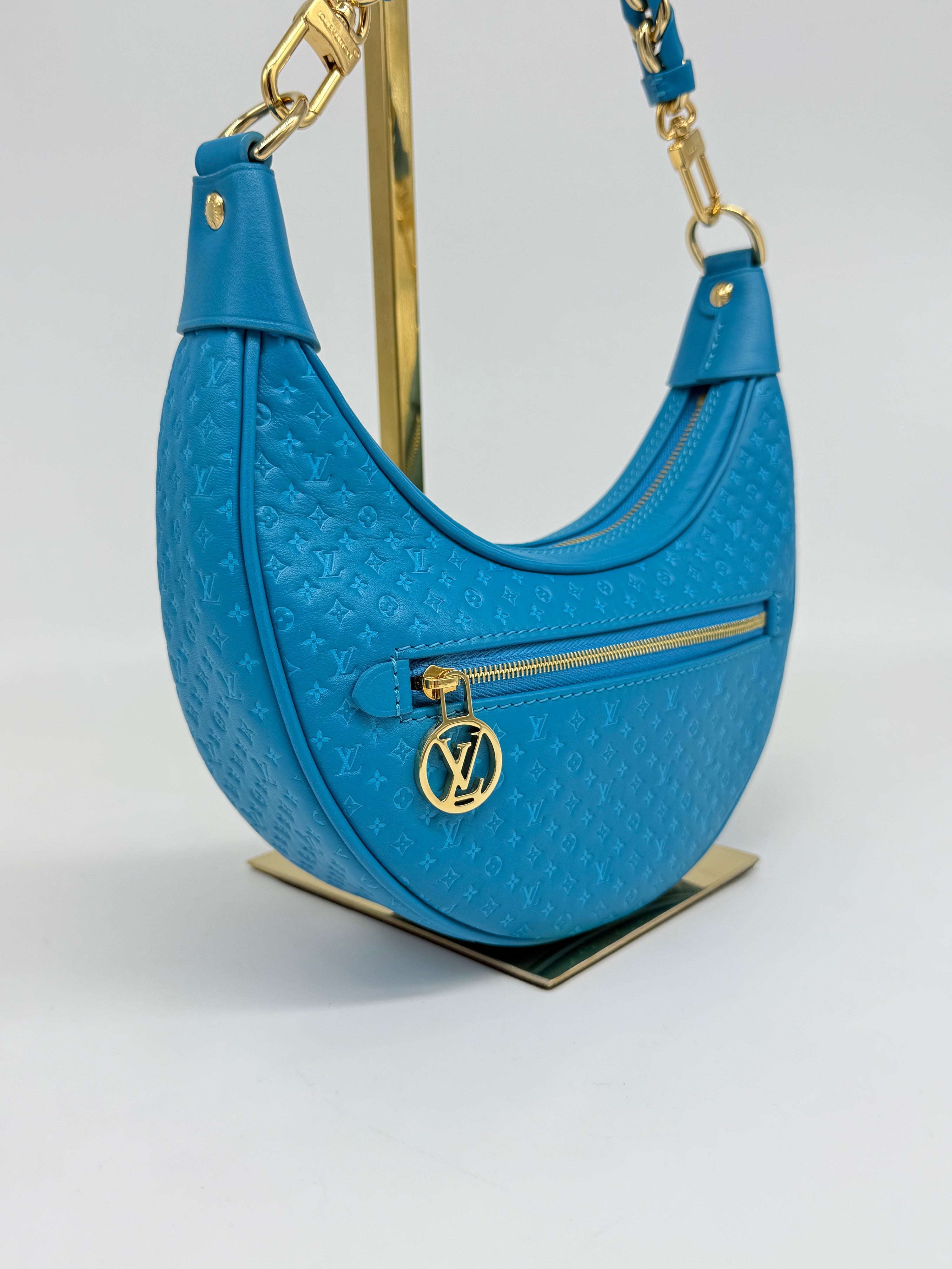 Louis Vuitton Loop Hobo Nanogram