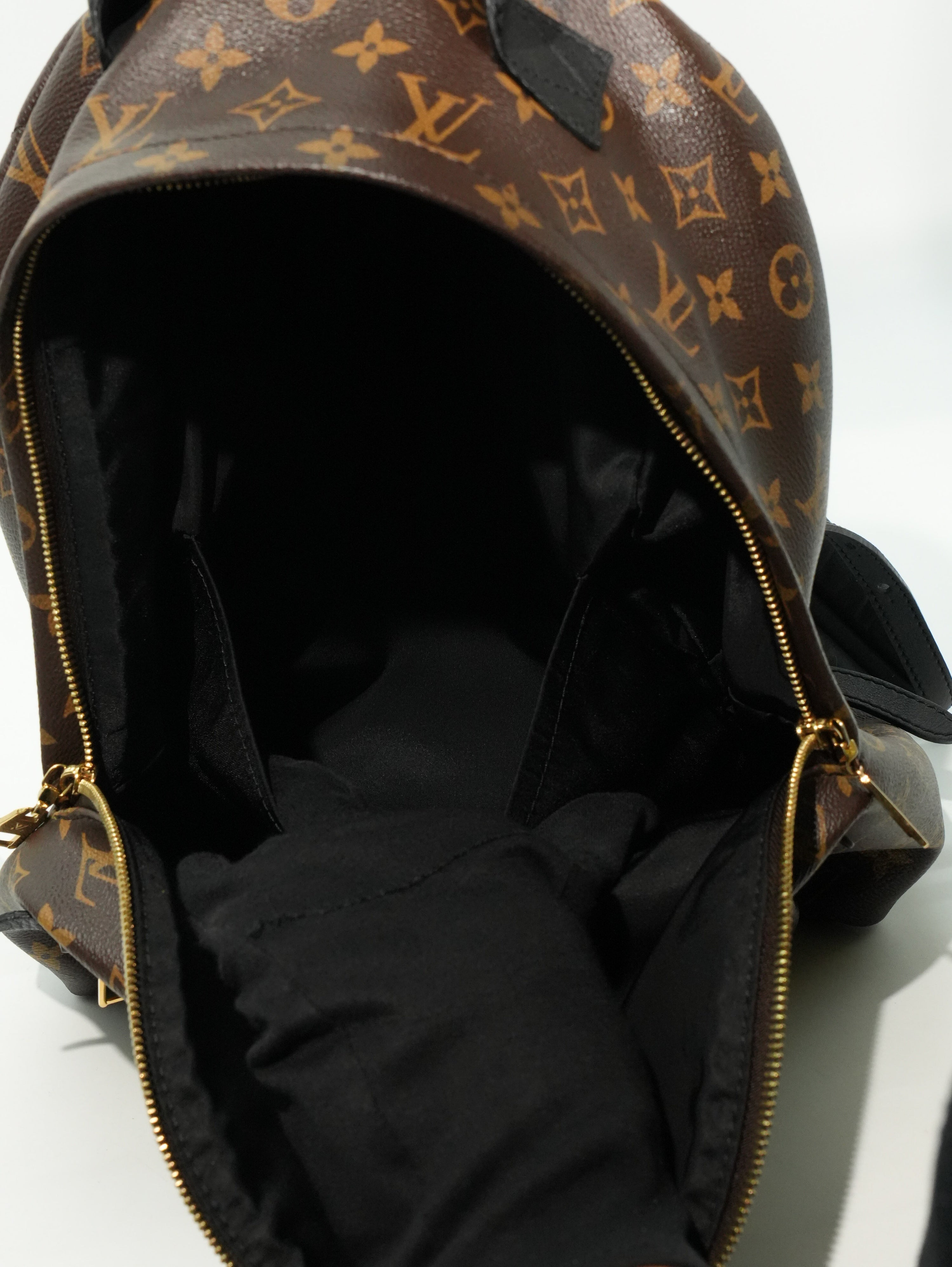 Louis Vuitton Palm Spring MM Monogram