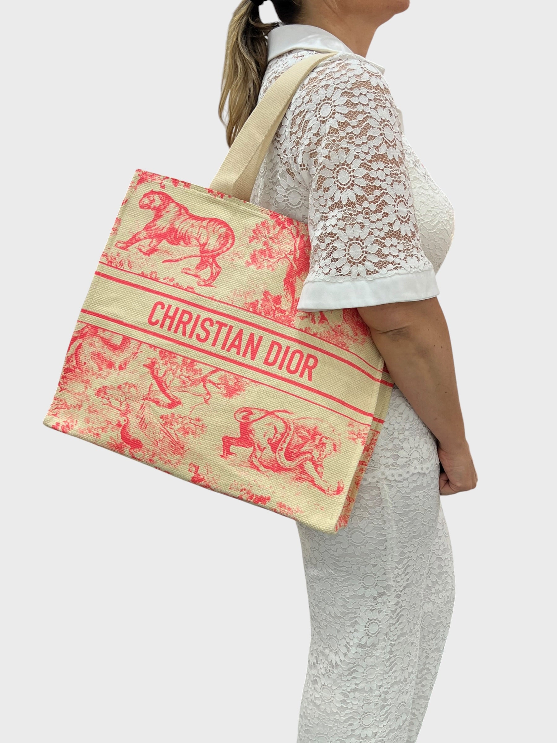 Dior Tote Riviera