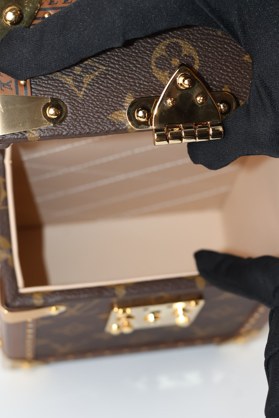 Louis Vuitton Camera Box Monogram