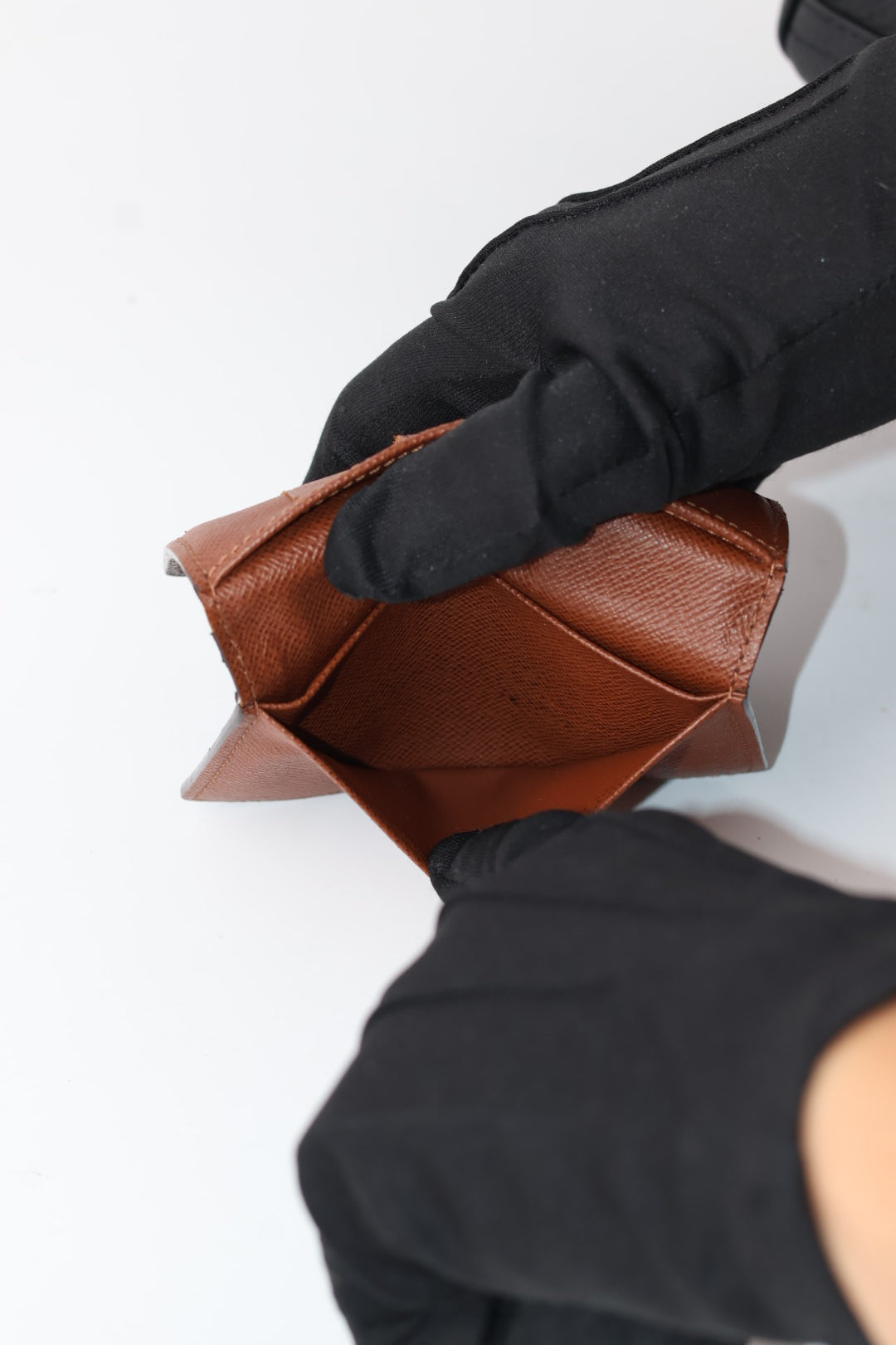 Louis Vuitton Organizer Monogram