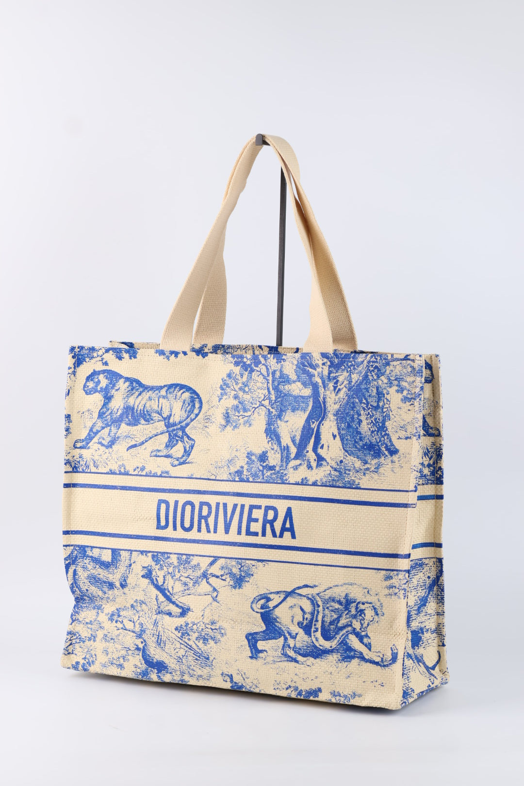 Dior Tote Riviera