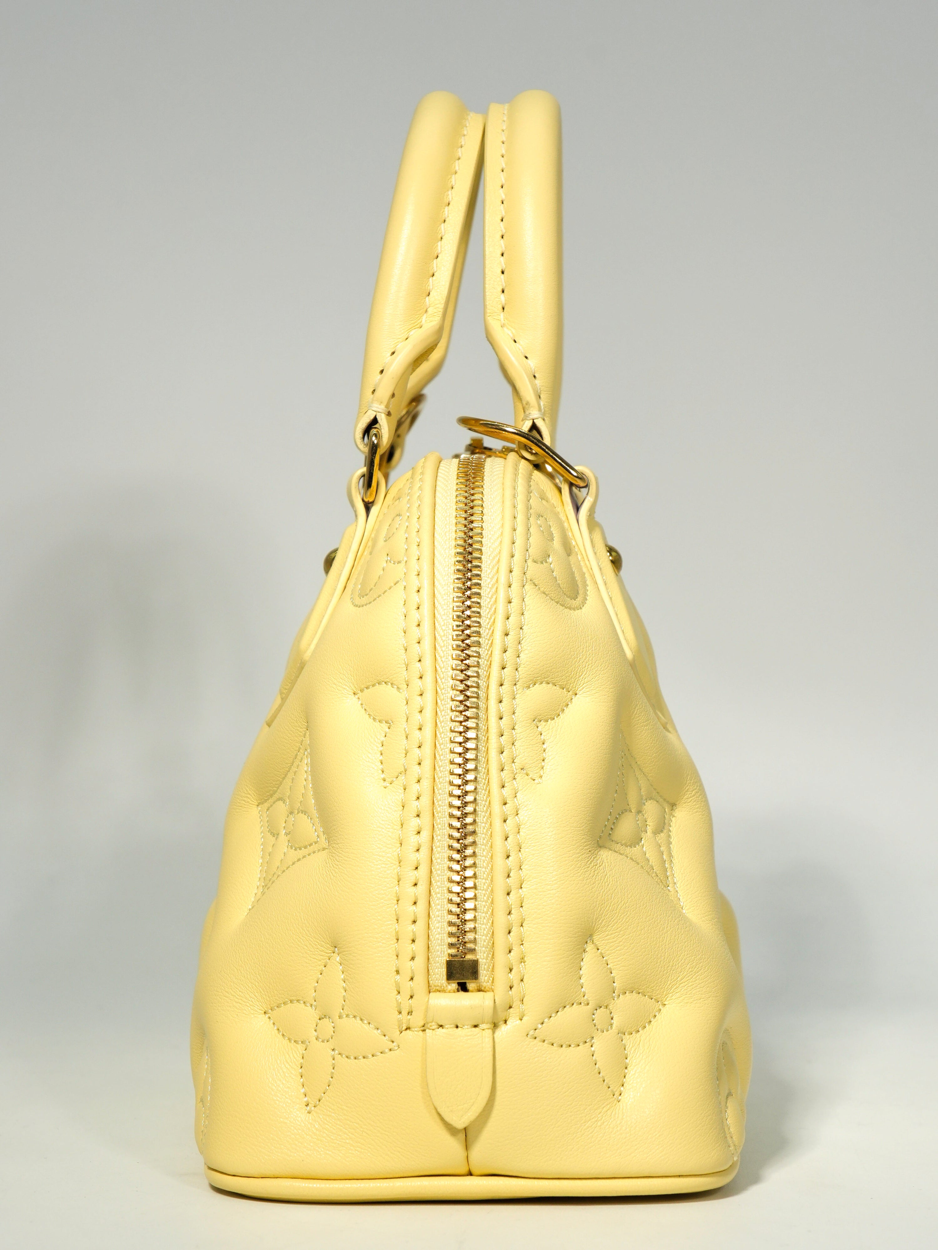 Louis Vuitton Alma BB Bubblegram