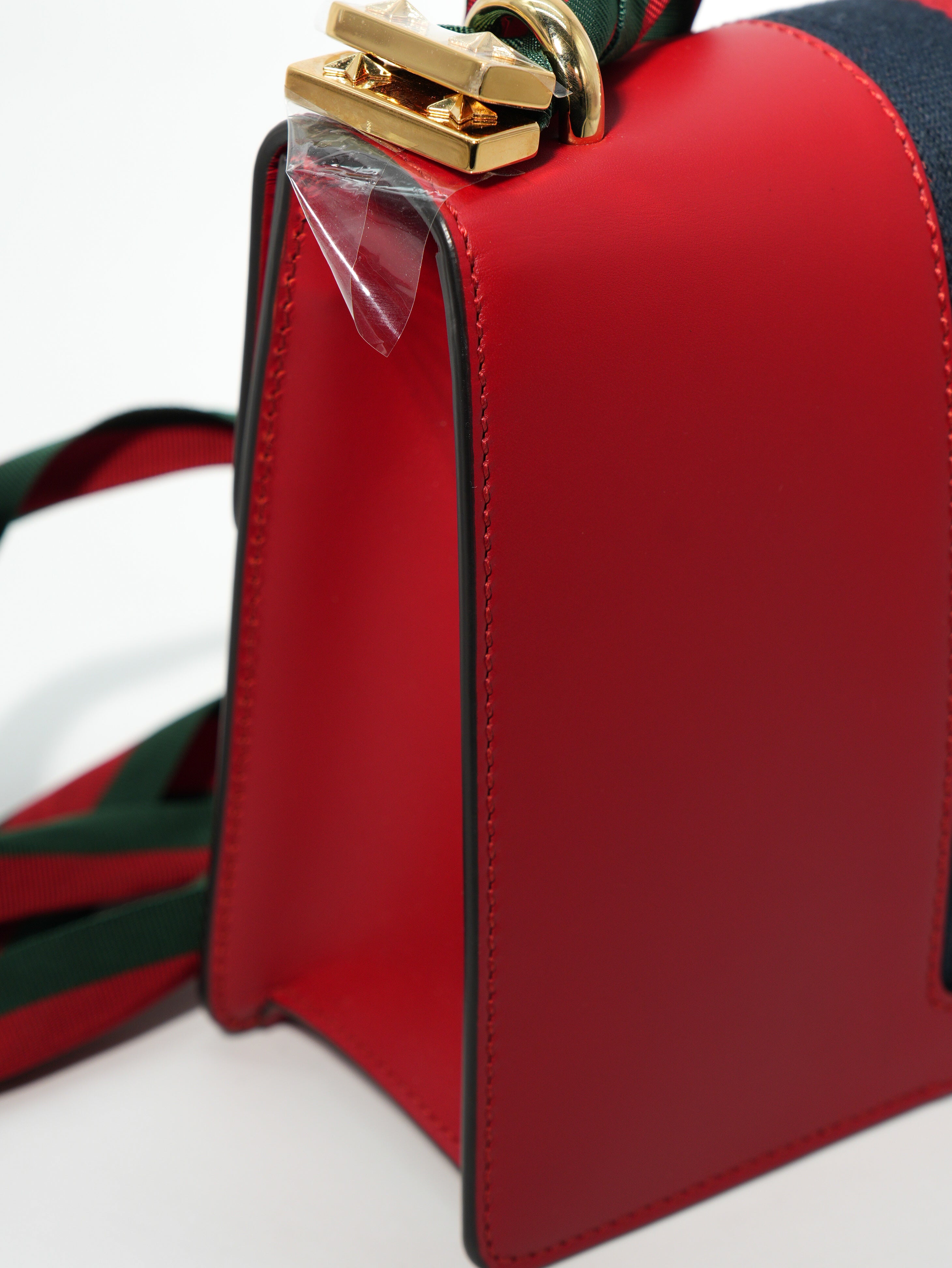 Gucci Sylvie in Pelle