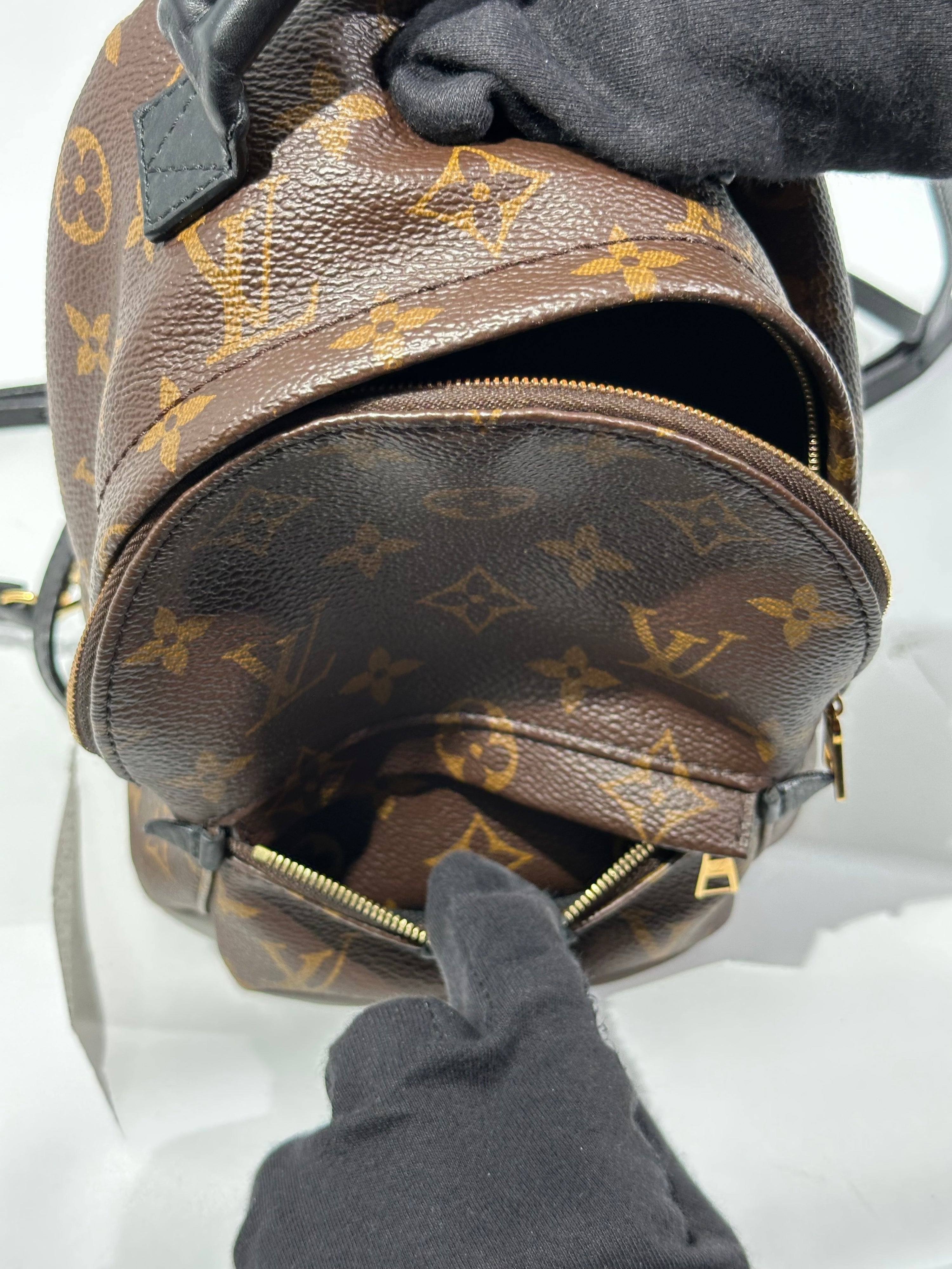 Louis Vuitton Mini Palm Spring