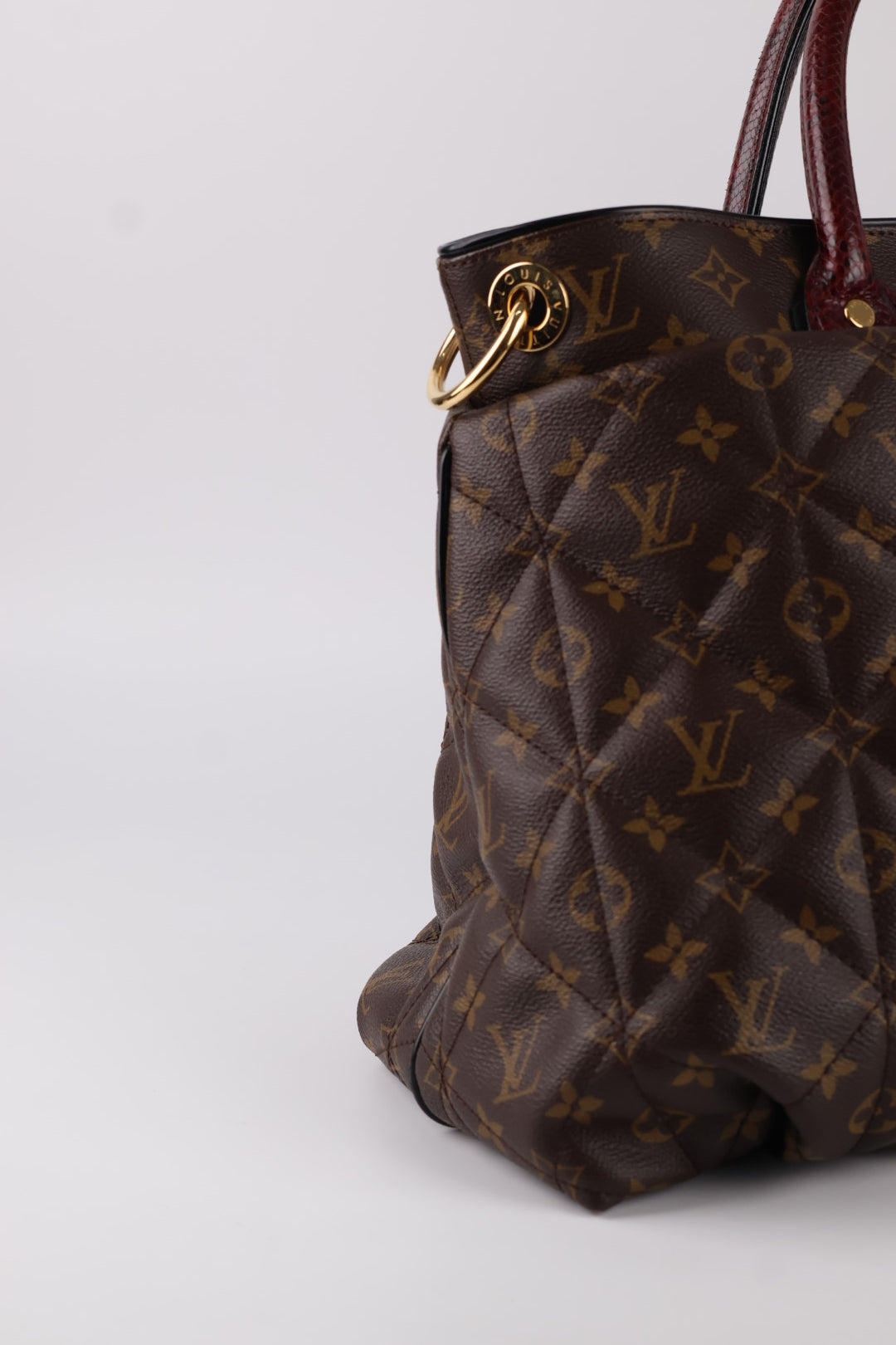 Louis Vuitton Etoile Exotique Monogram