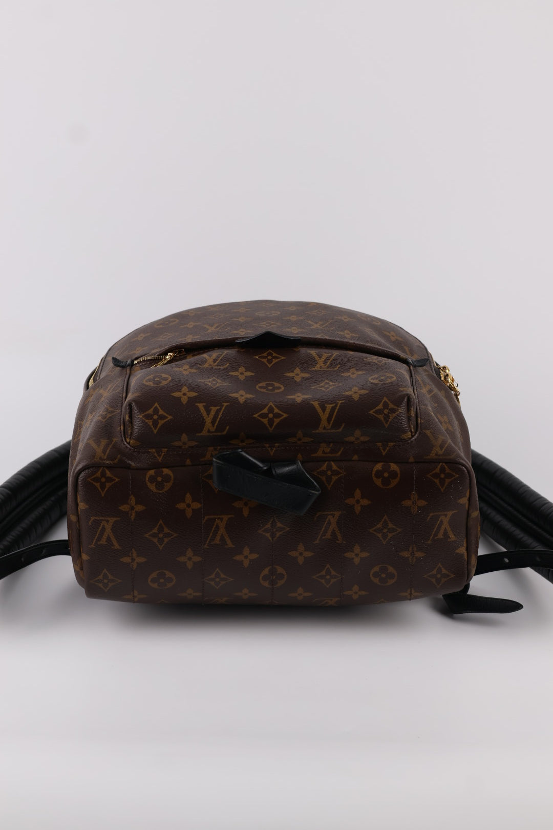 Louis Vuitton Palm Spring MM Monogram