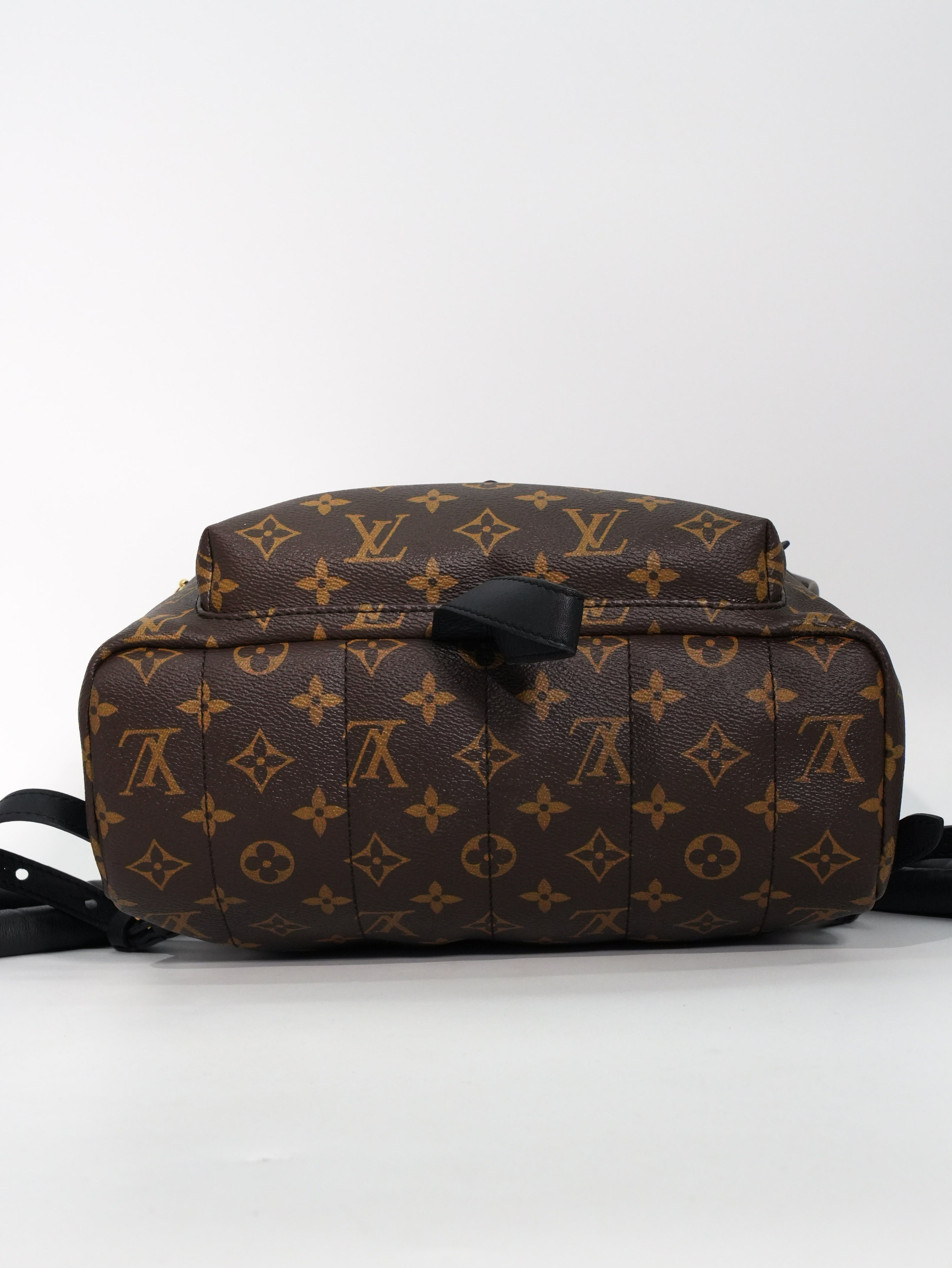 Louis Vuitton Palm Spring MM Monogram