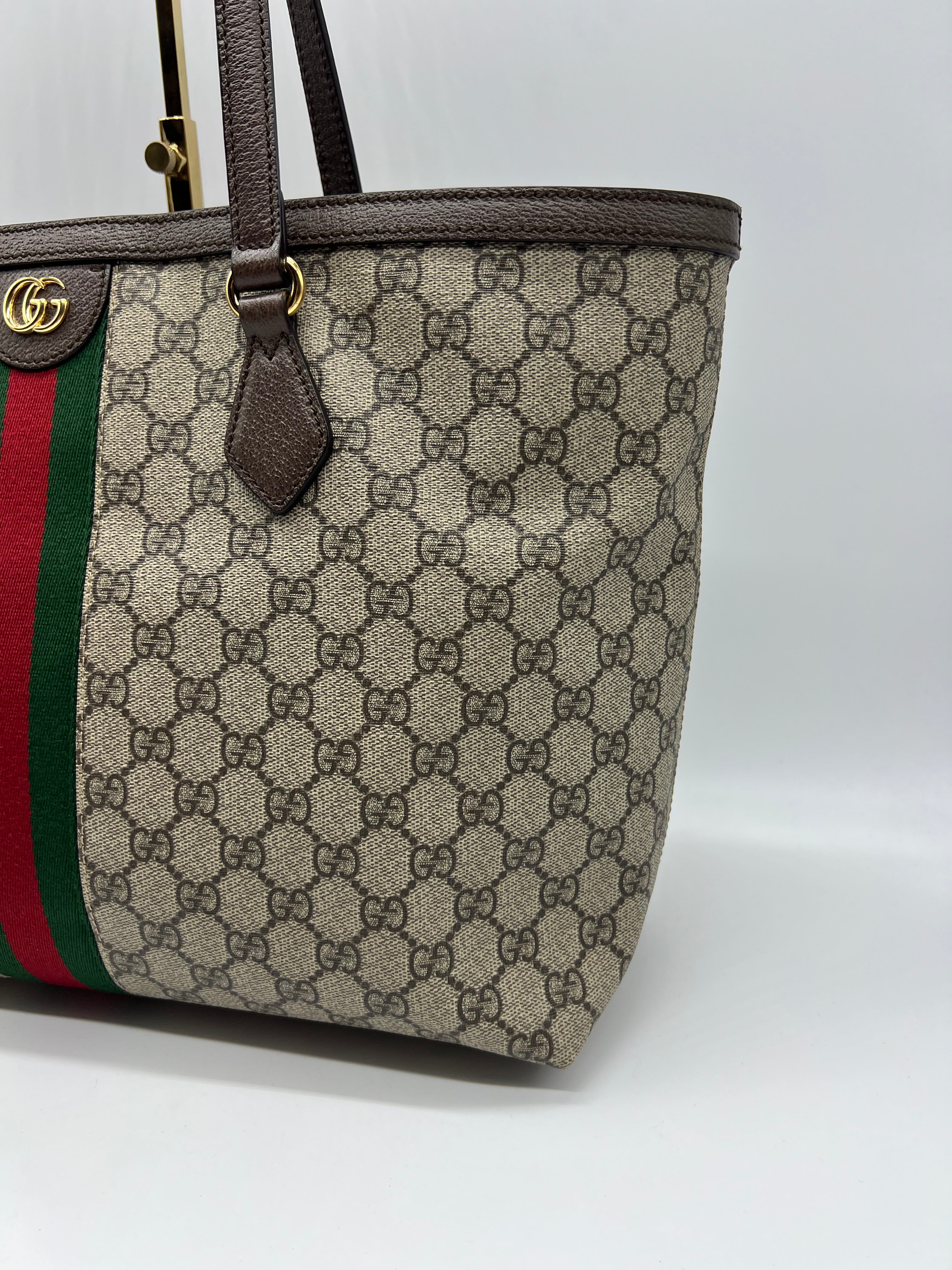 Gucci Shopping Ophidia Media