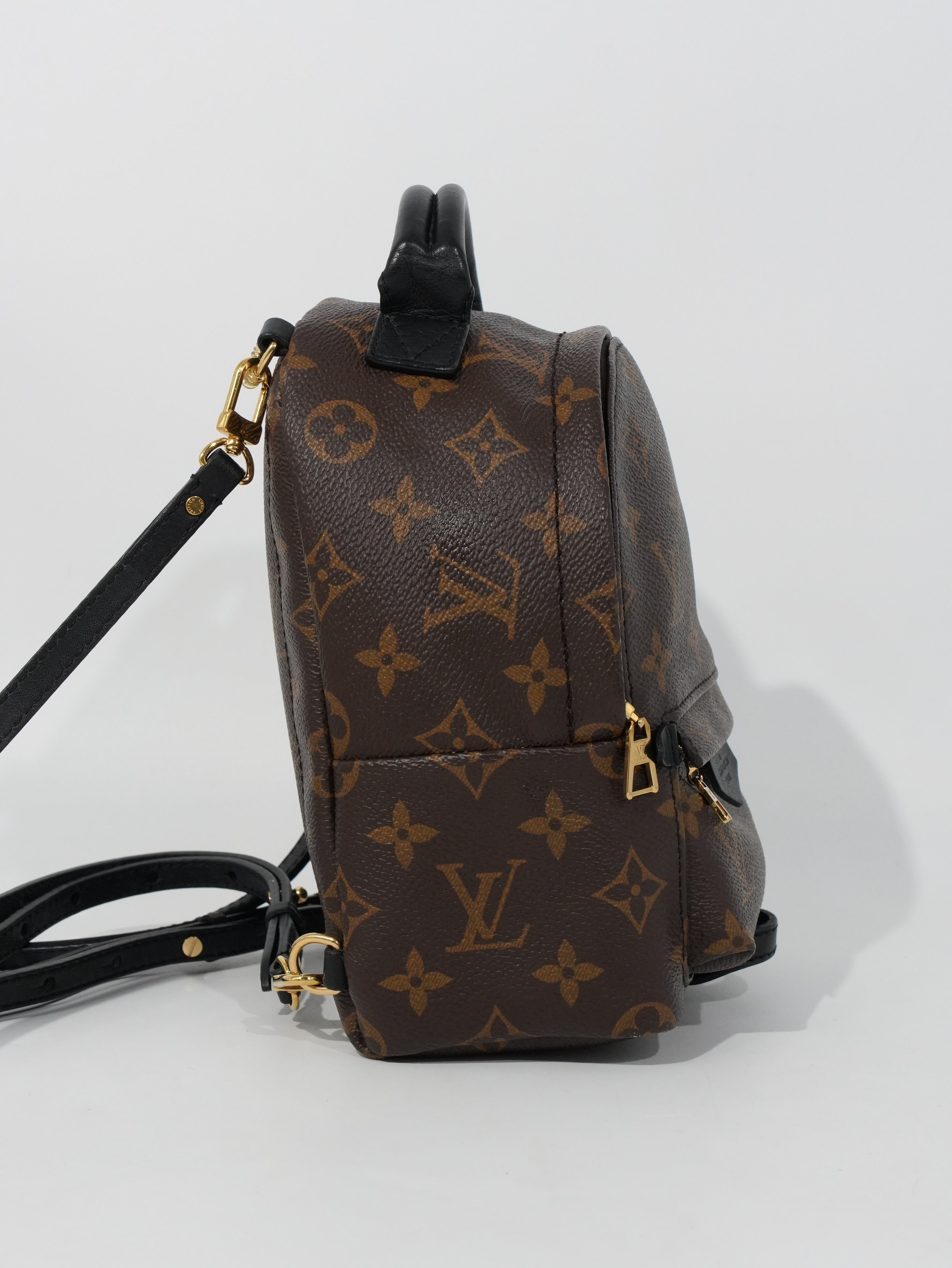 Louis Vuitton Mini Palm Spring