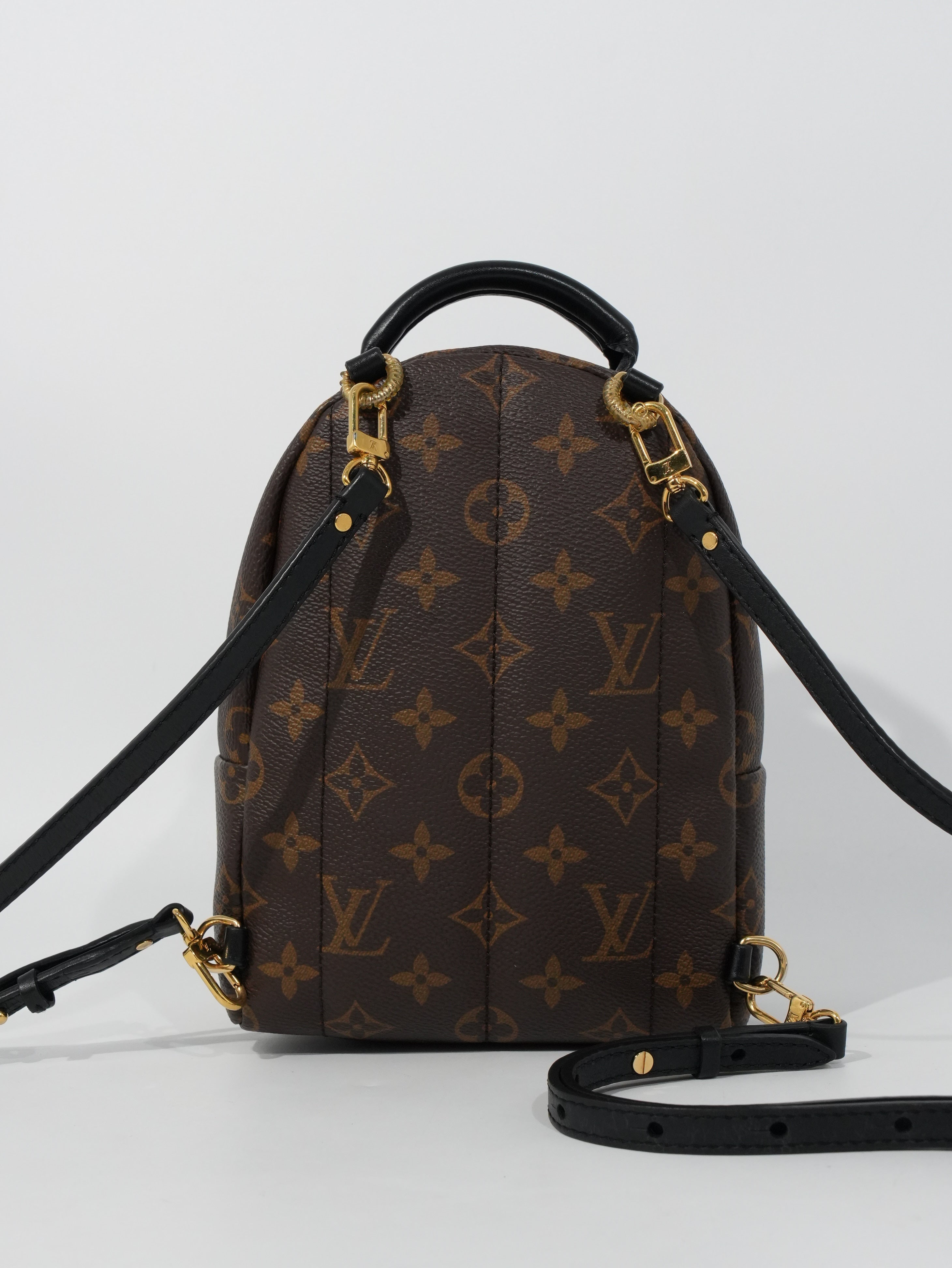 Louis Vuitton Mini Palm Spring