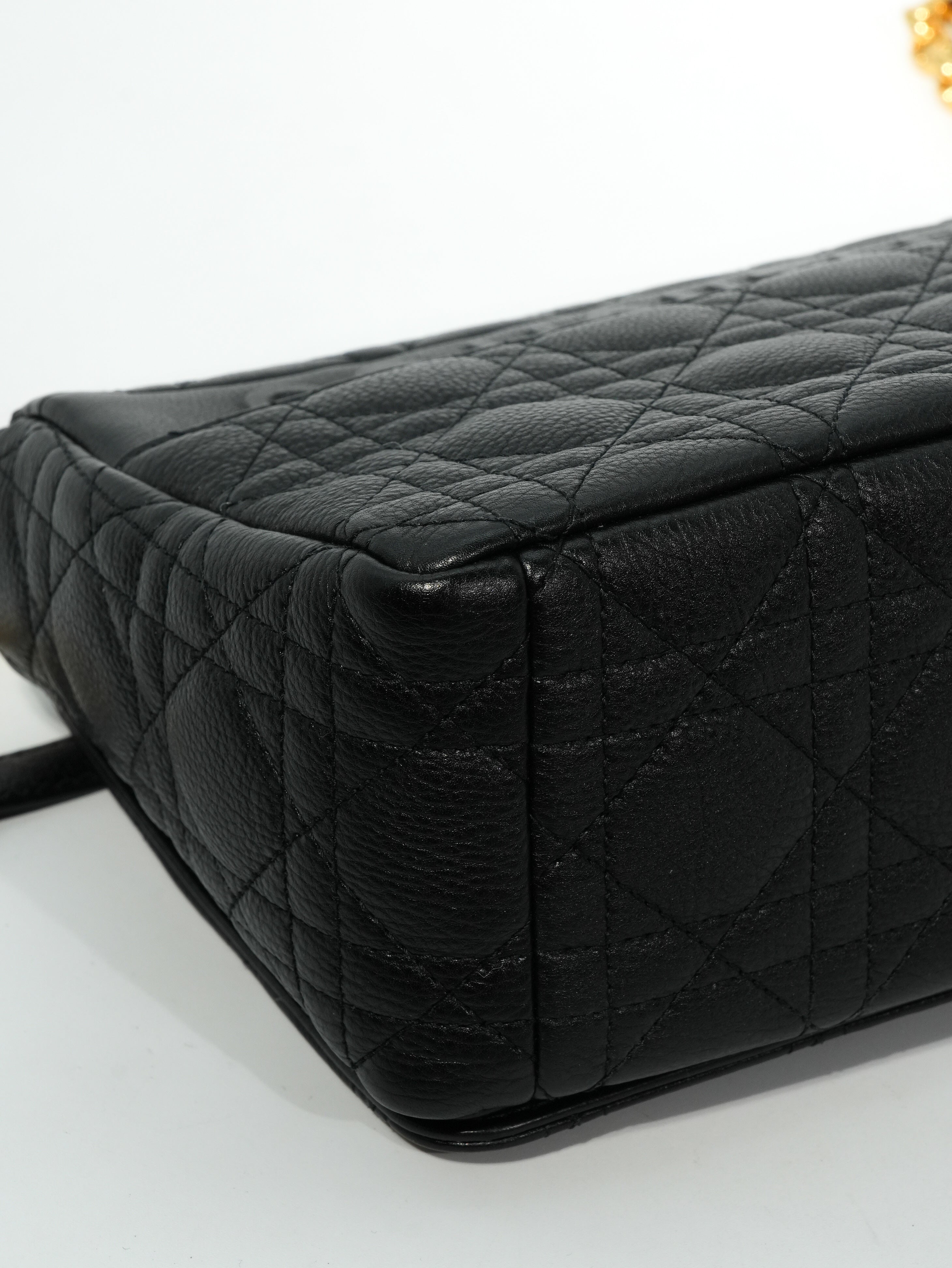 Dior Caro Media in Pelle