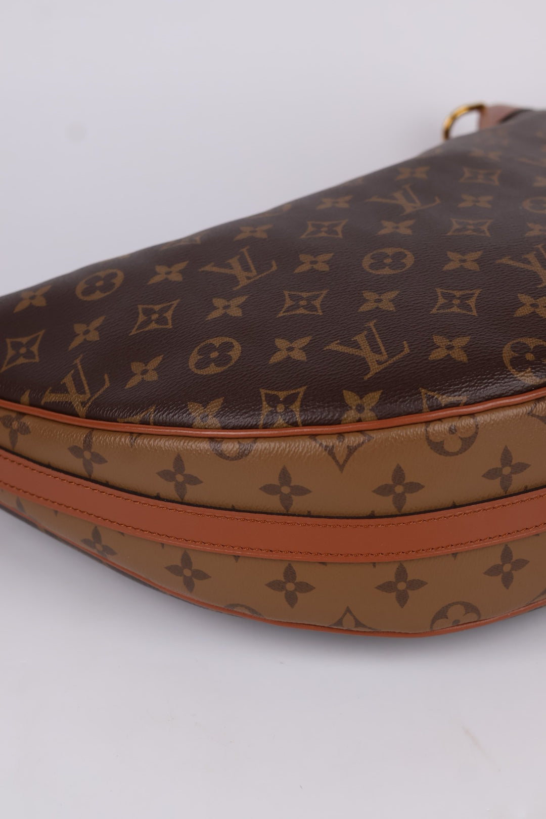 Louis Vuitton Loop Hobo Monogram