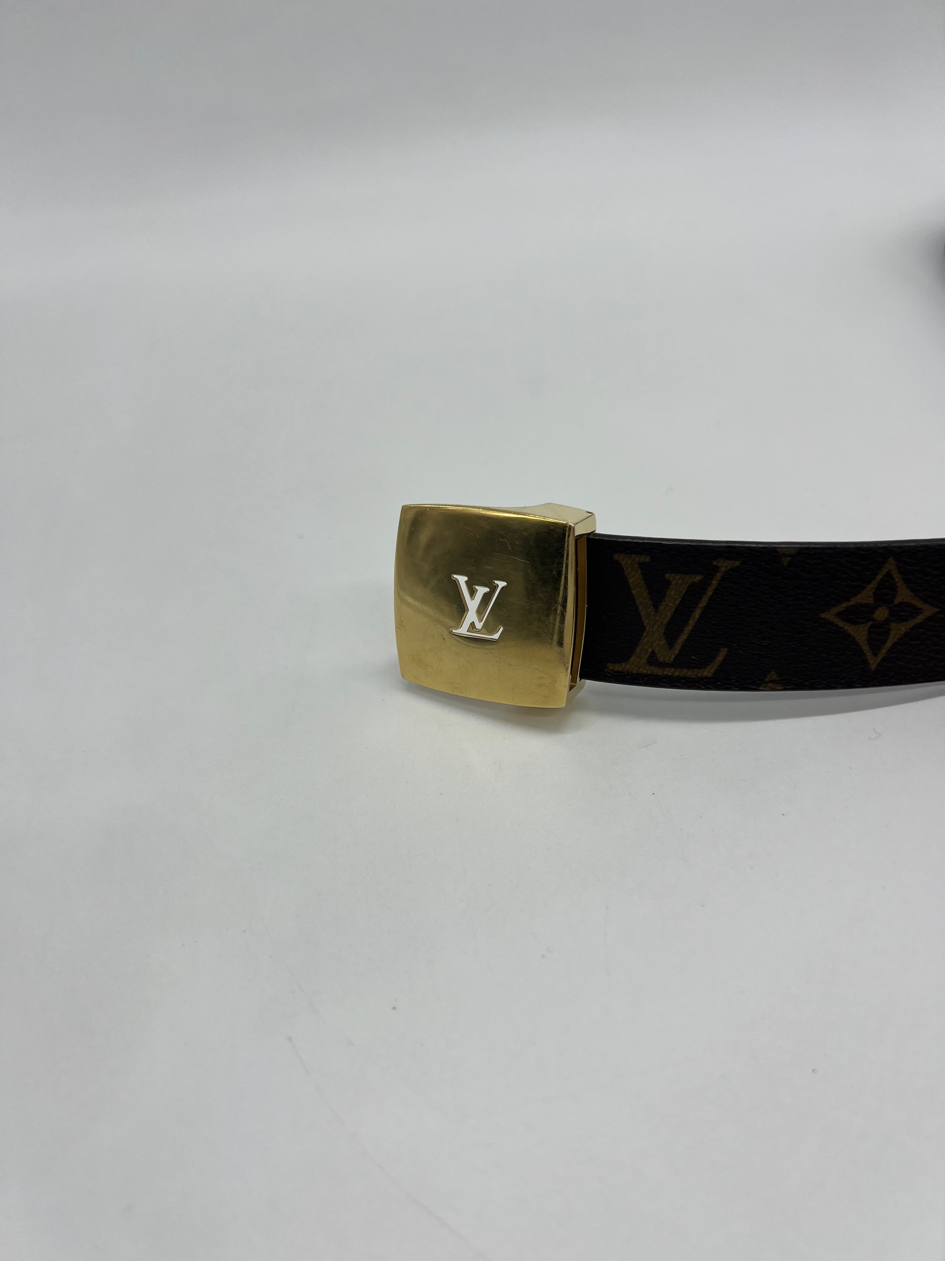 Louis Vuitton Cintura Cut Monogram