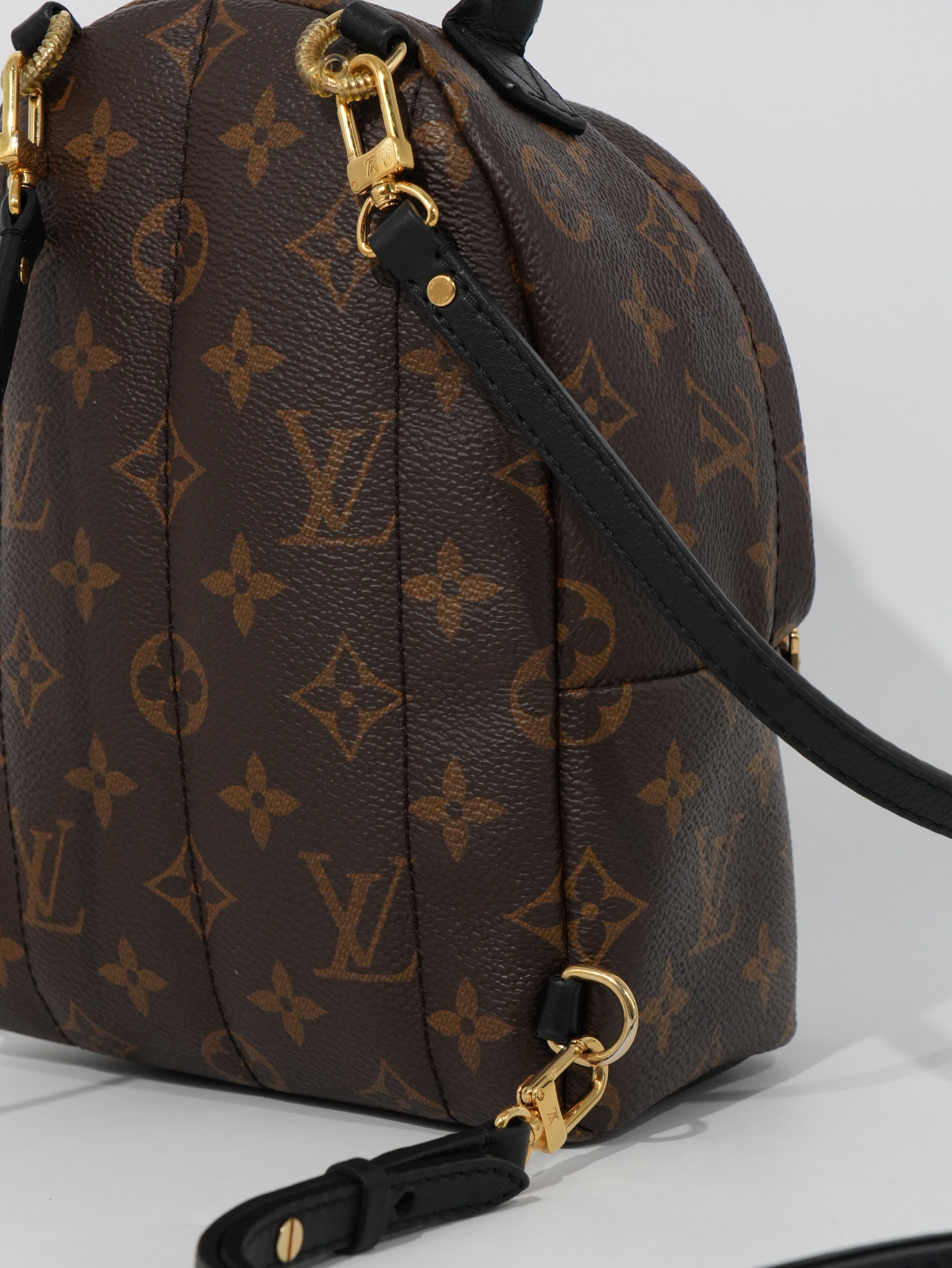Louis Vuitton Mini Palm Spring