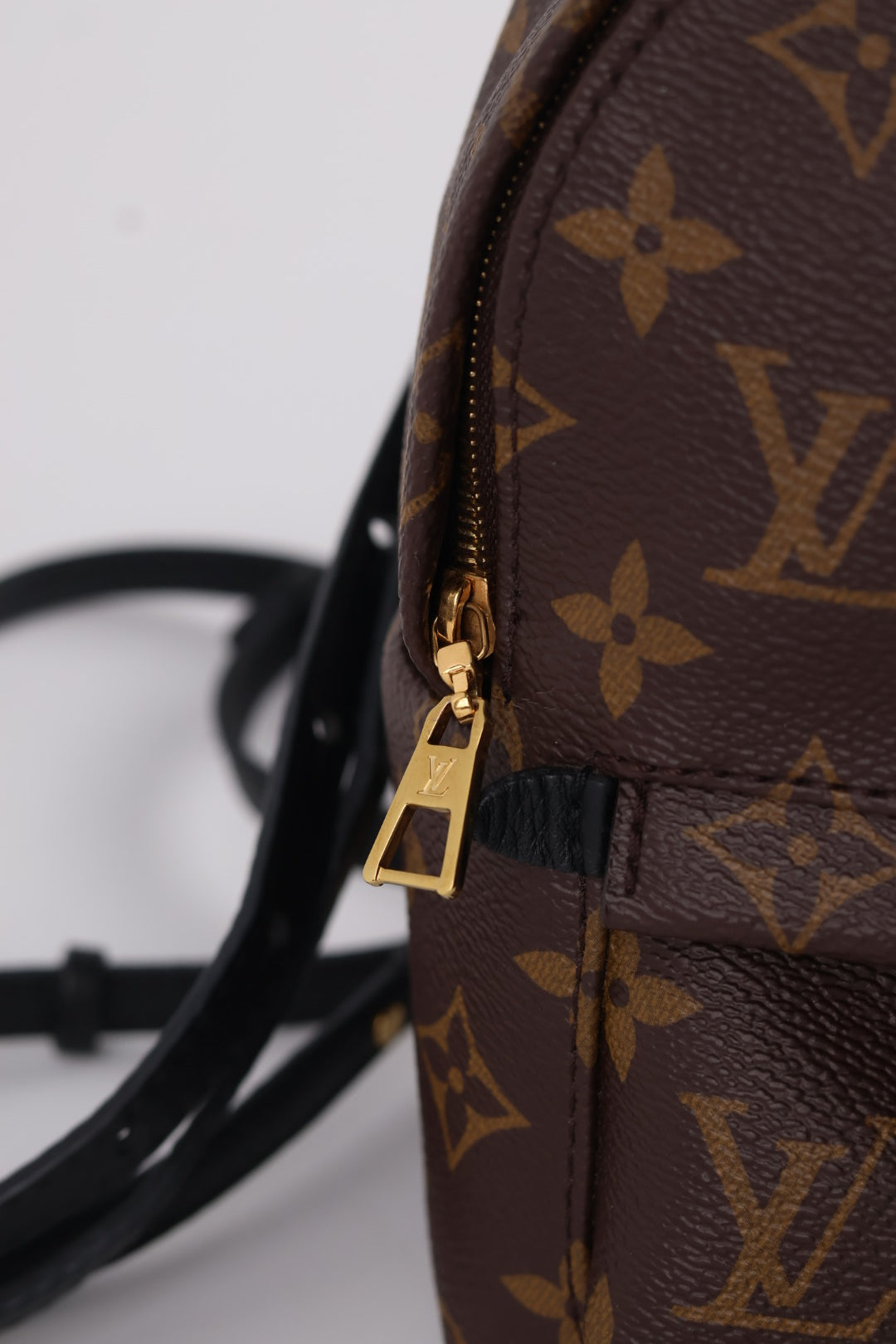 Louis Vuitton Mini Palm Spring Monogram