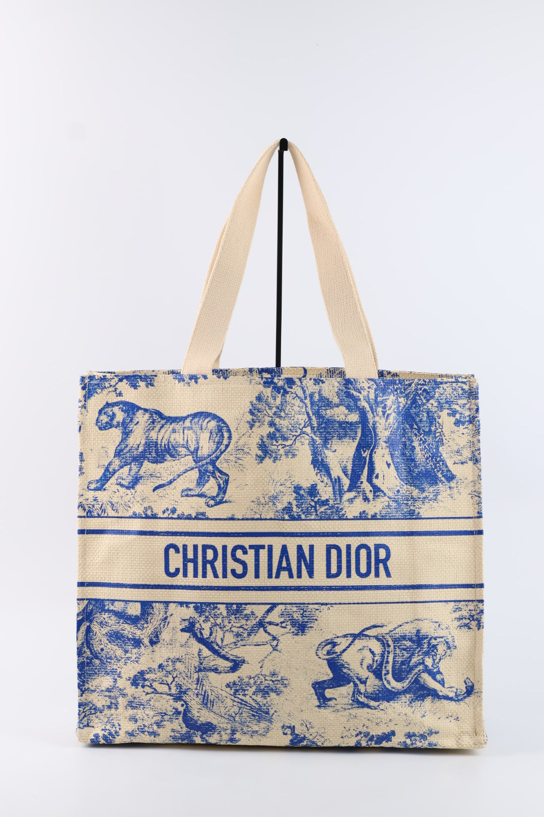 Dior Tote Riviera