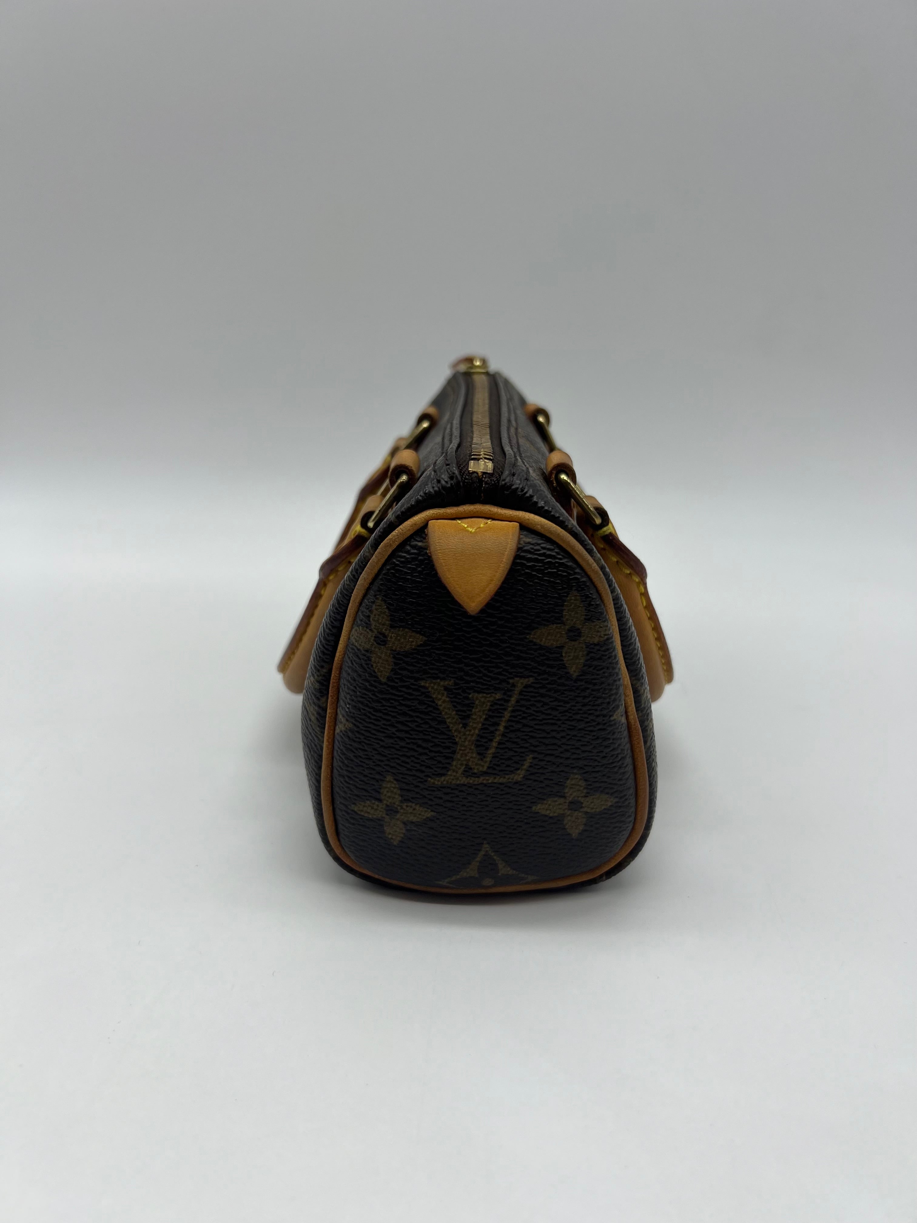 Louis Vuitton Nano Speedy Monogram