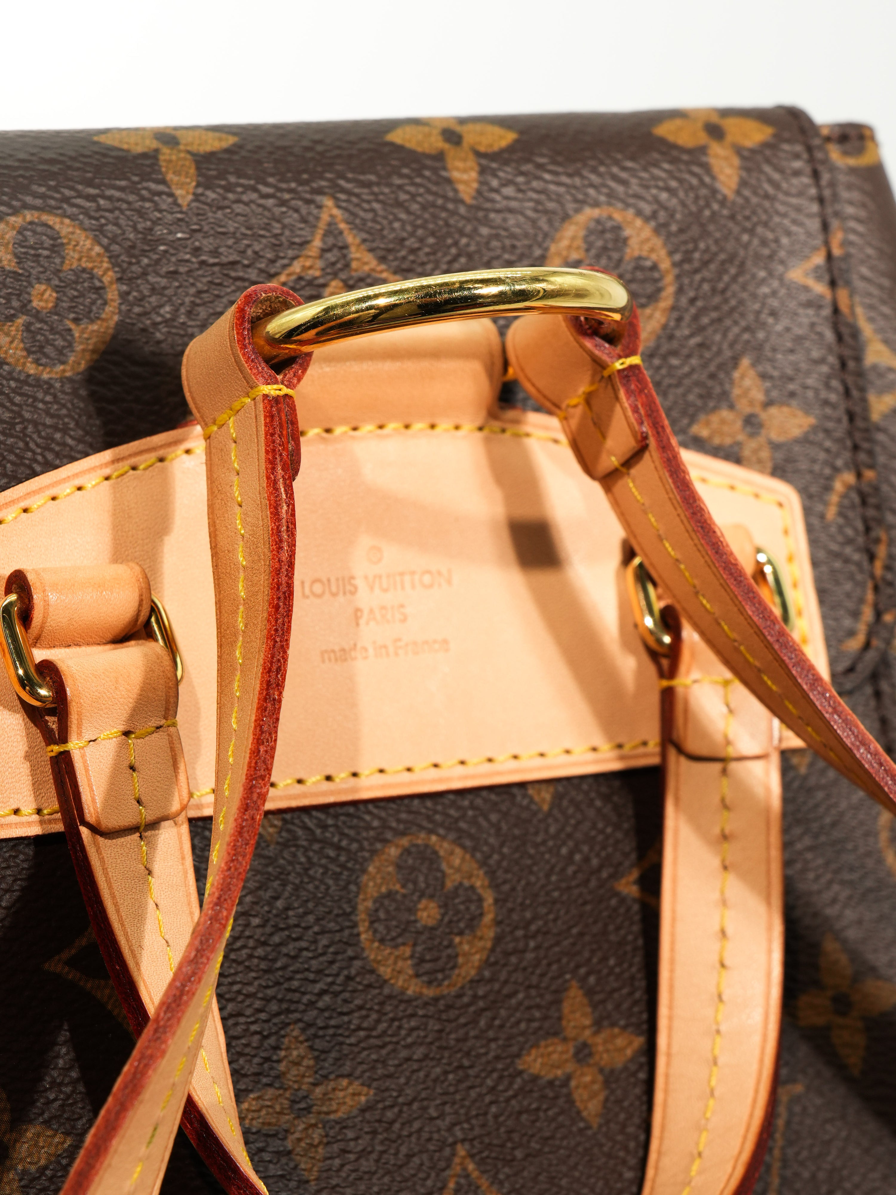 Louis Vuitton Zaino Montsouris NM Monogram