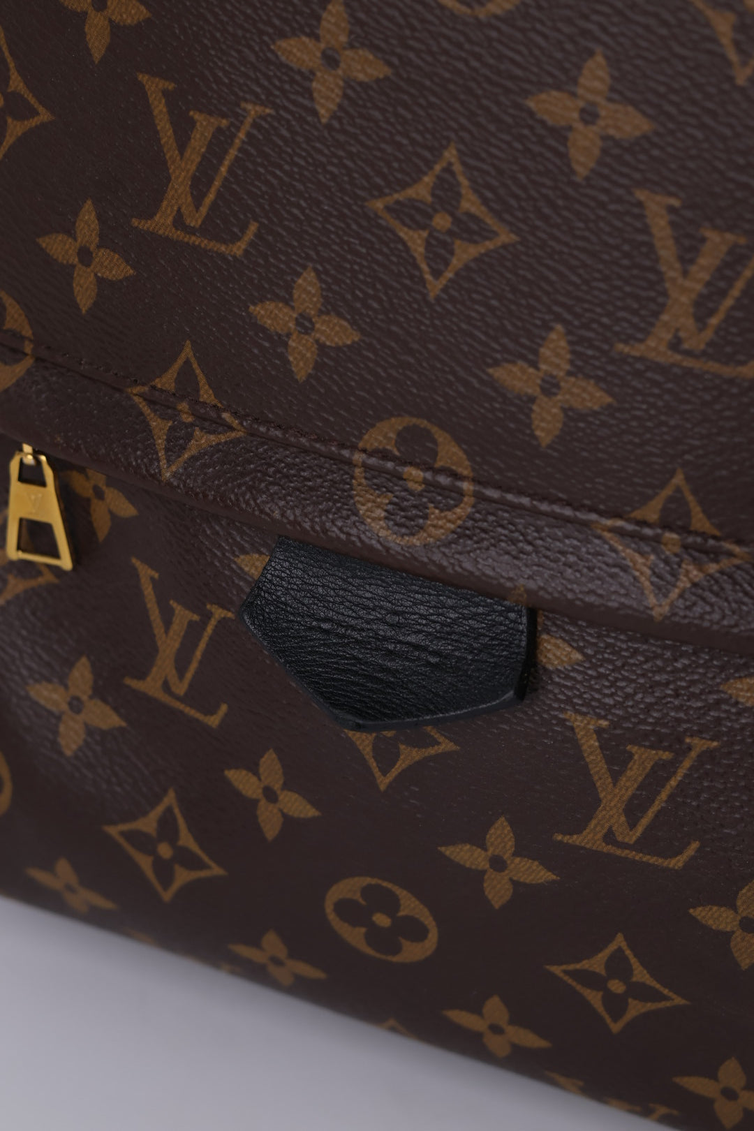 Louis Vuitton Palm Spring MM Monogram