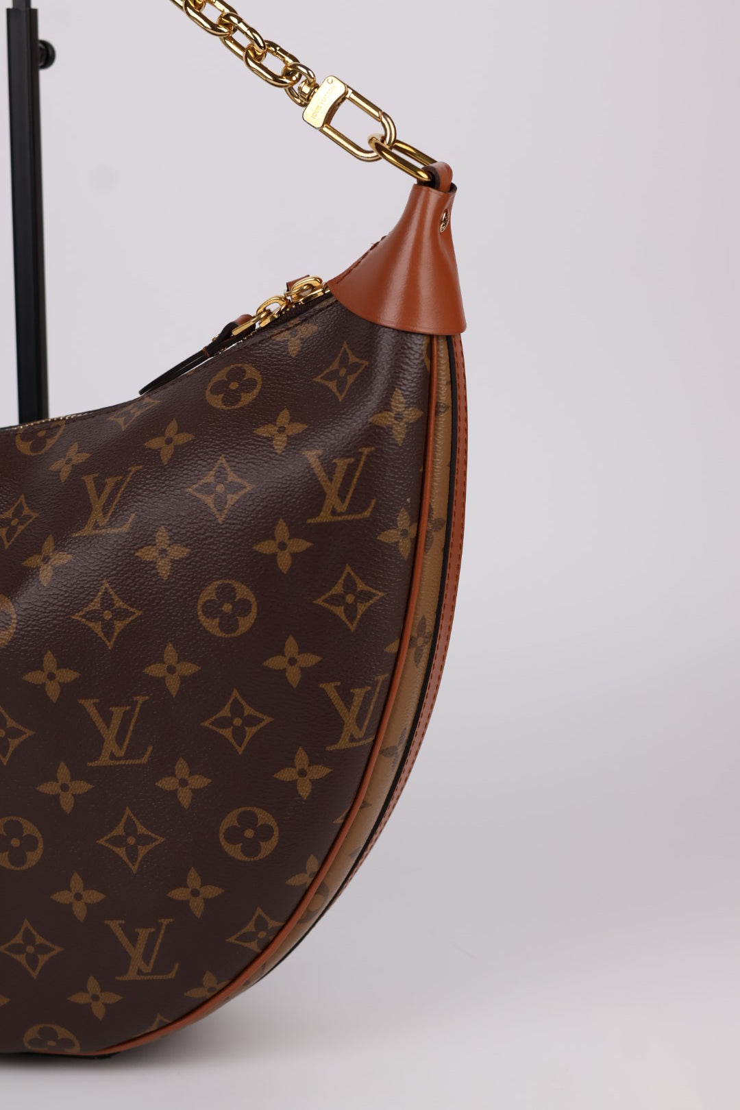 Louis Vuitton Loop Hobo Monogram