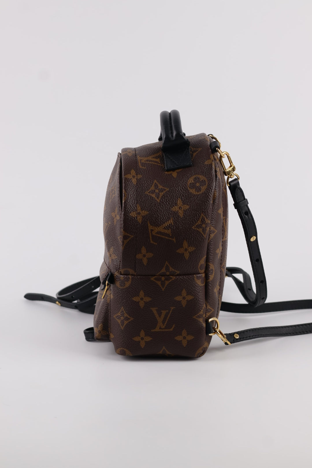 Louis Vuitton Mini Palm Spring Monogram