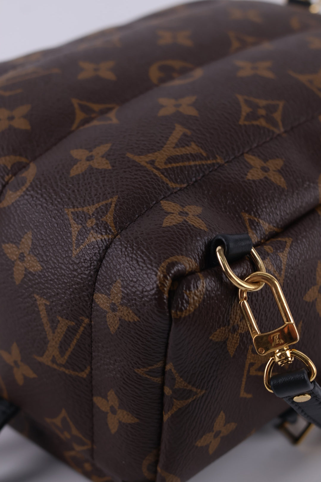 Louis Vuitton Mini Palm Spring Monogram