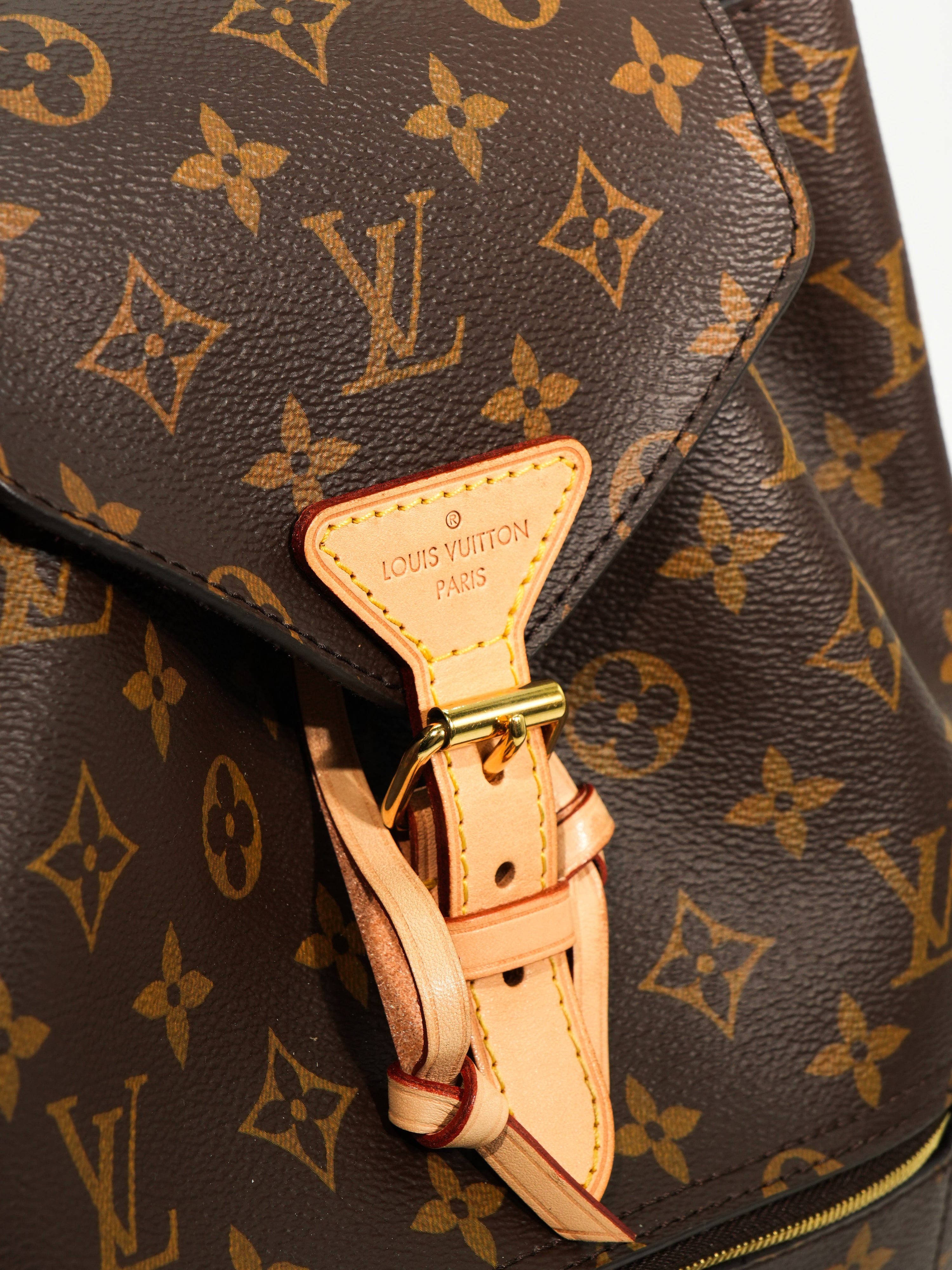 Louis Vuitton Zaino Montsouris NM Monogram