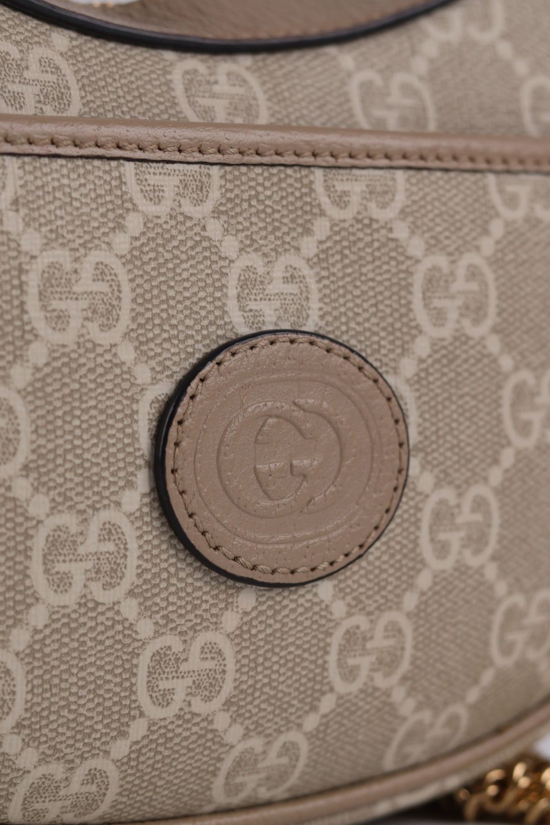 Gucci Hobo GG Supreme