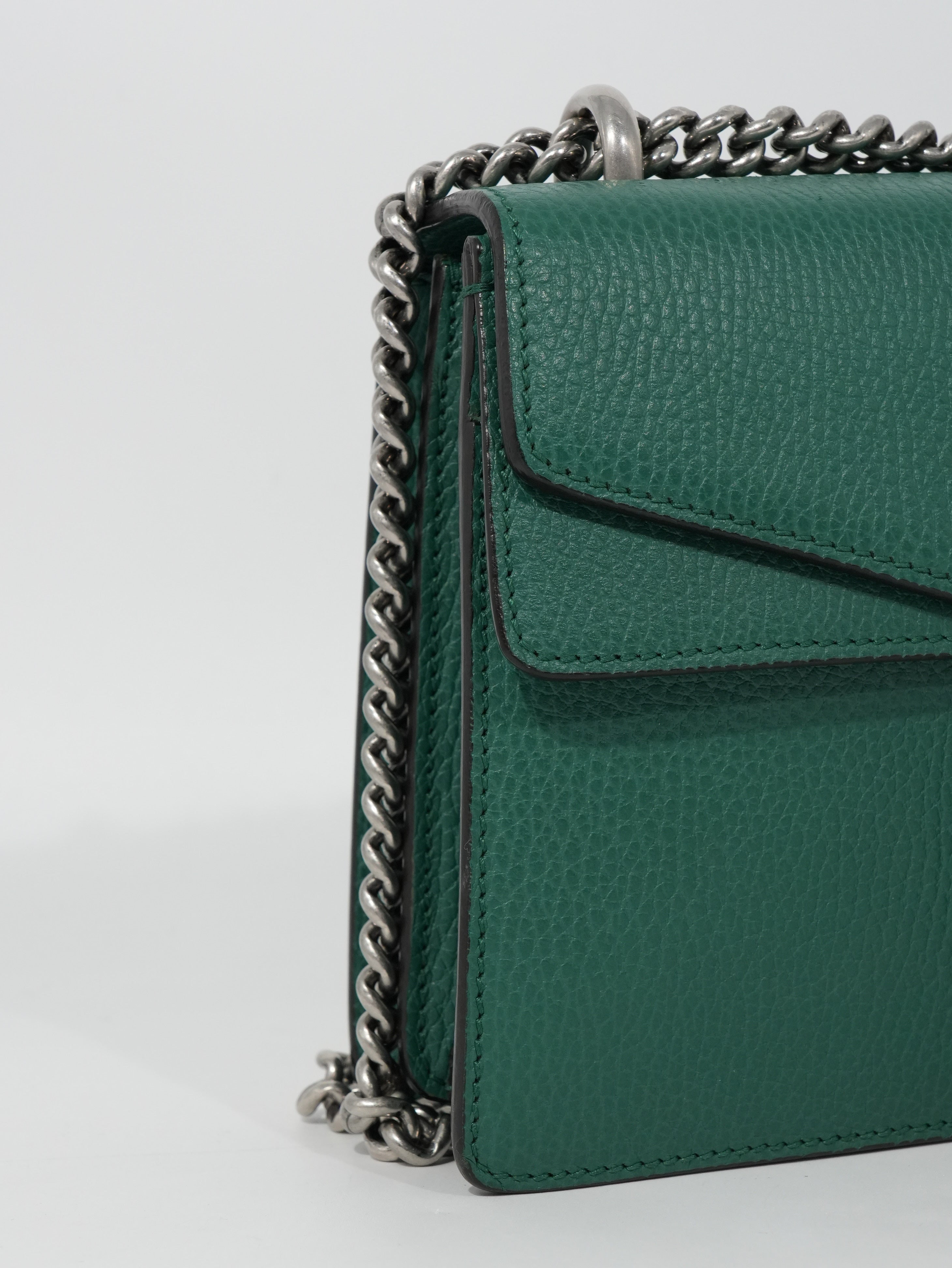 Gucci Dionysus in Pelle