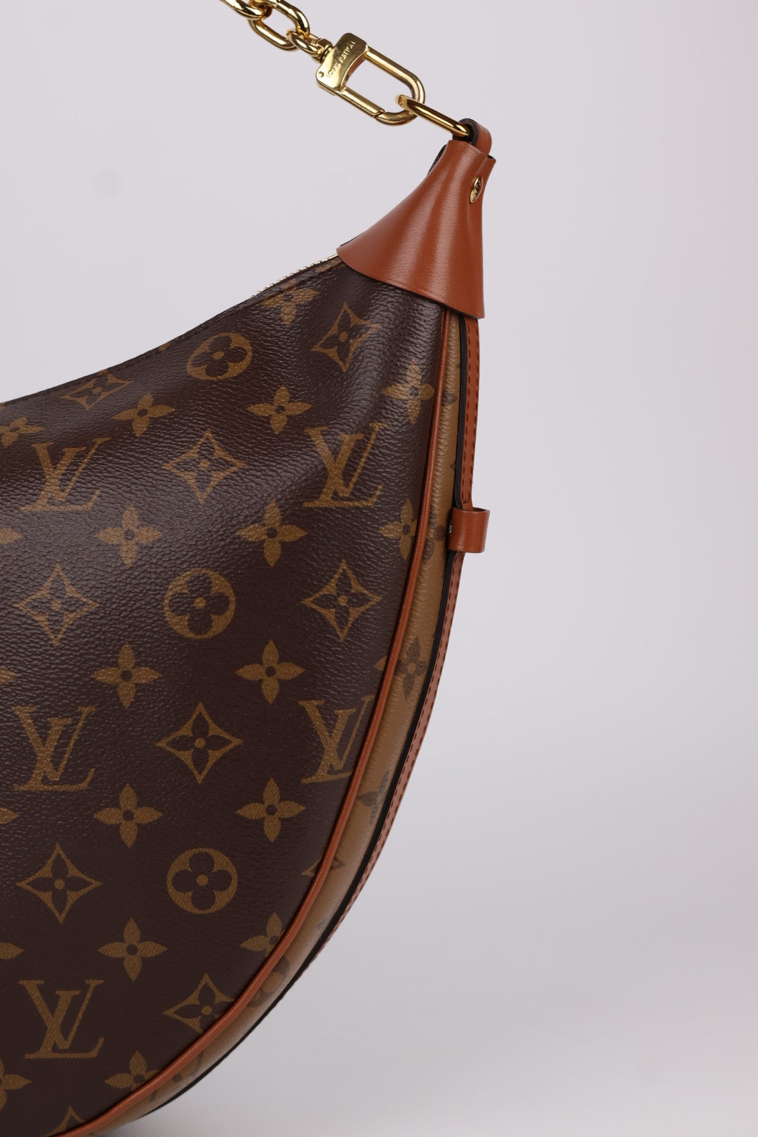 Louis Vuitton Loop Hobo Monogram