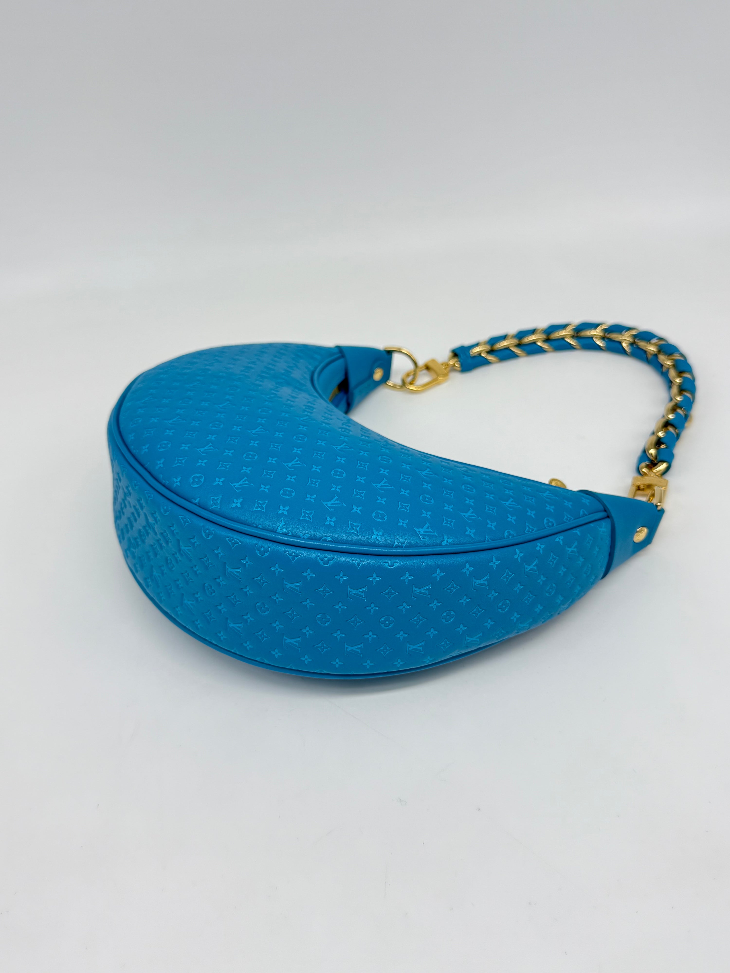 Louis Vuitton Loop Hobo Nanogram