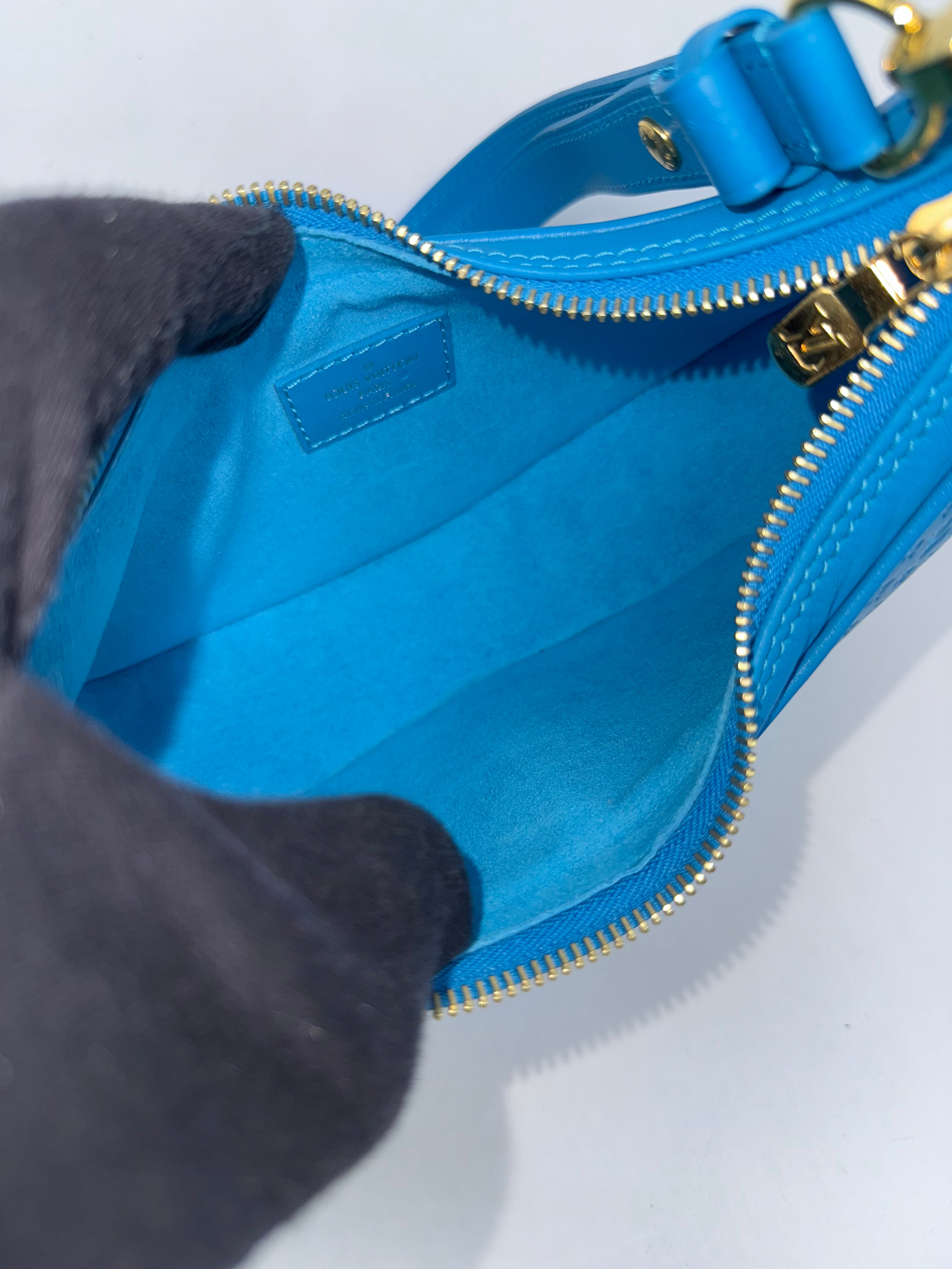 Louis Vuitton Loop Hobo Nanogram
