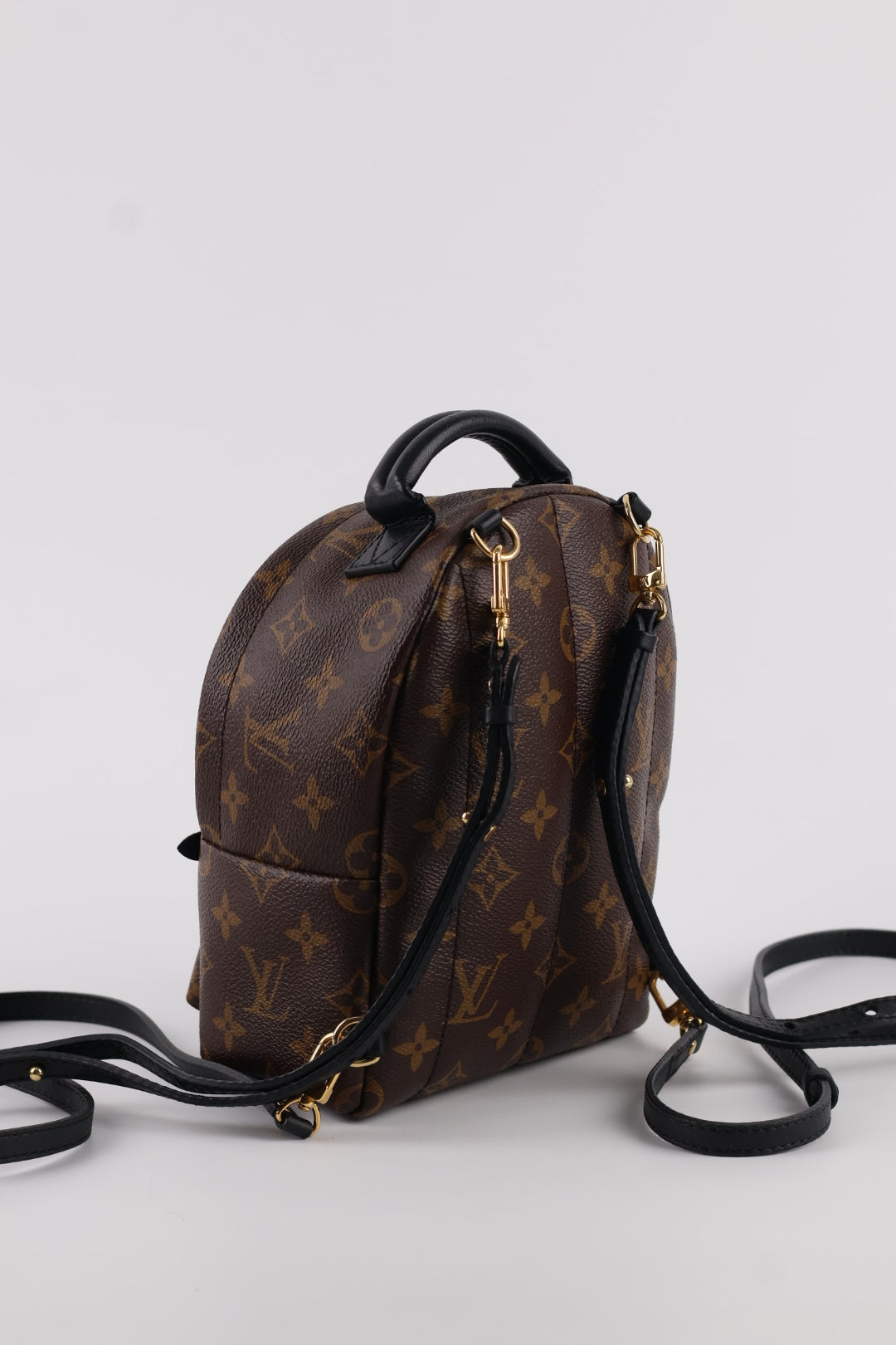 Louis Vuitton Mini Palm Spring Monogram