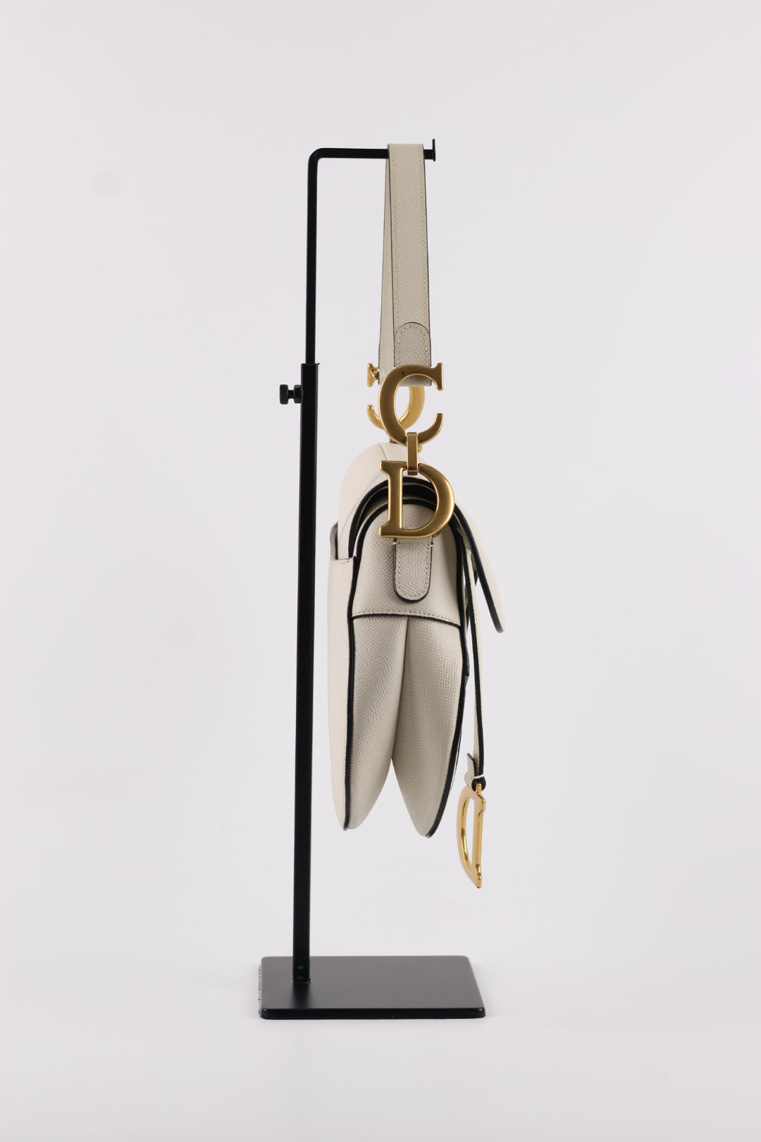 Dior Saddle in Pelle